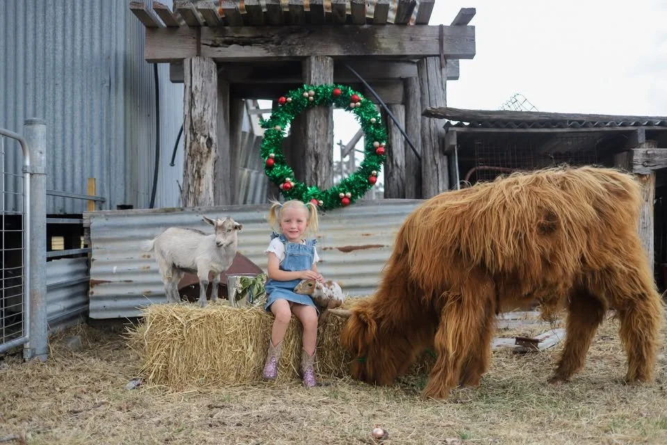 xmas.jpg