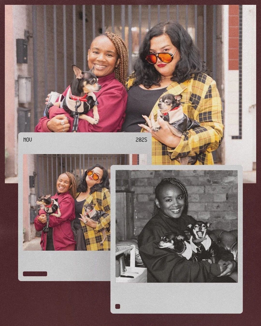 ＴＨＥ ＴＥＡＭ ＢＥＨＩＮＤ 
ＧＯ ＩＮＳＰＩＲＥ： ＡＩＳＨＡ， ＭＡＲＩＮＡ， 
ＮＩＫＫＩ ＆ ＳＴＡＮ