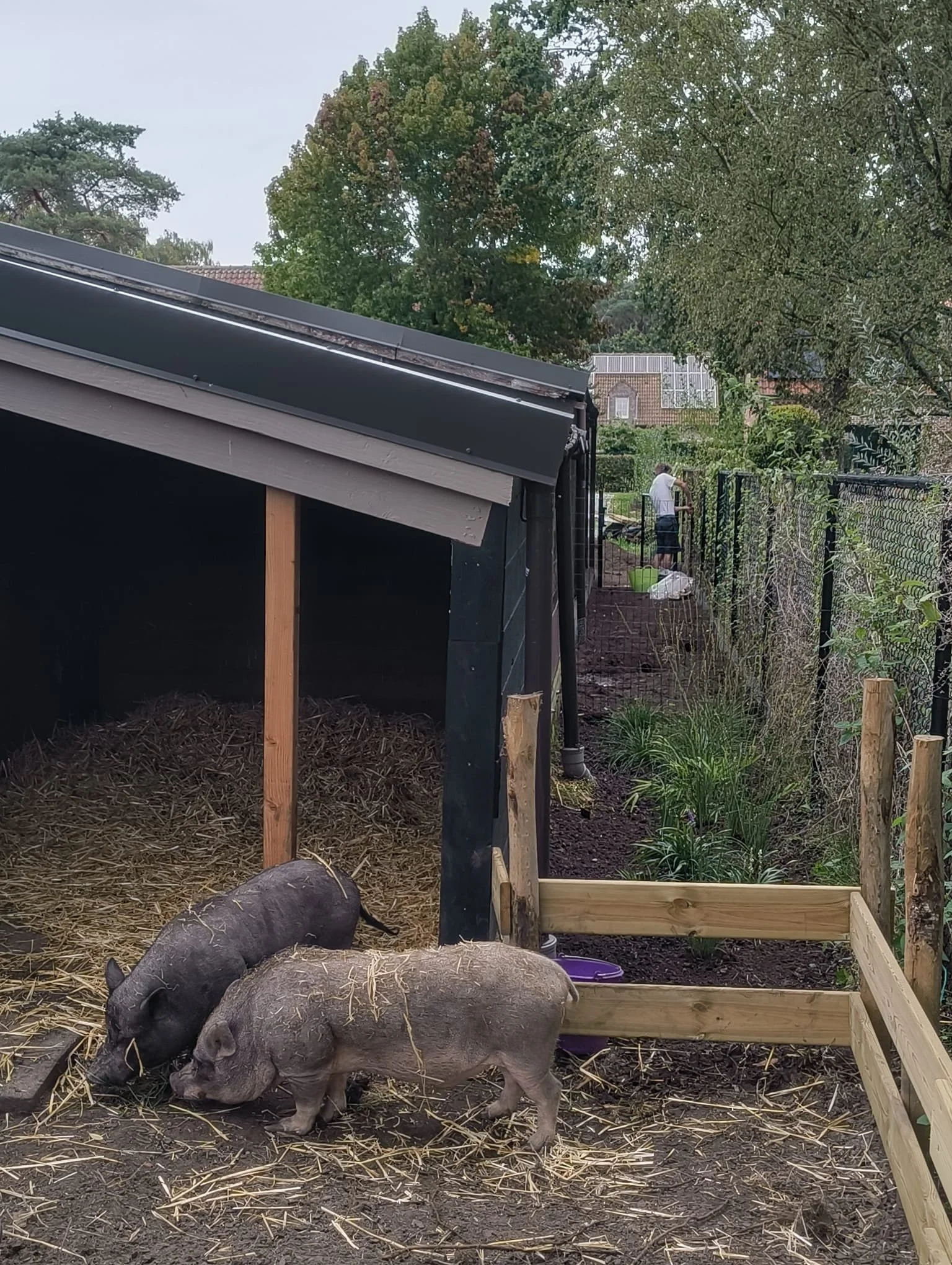 Dieren verblijf met omheining