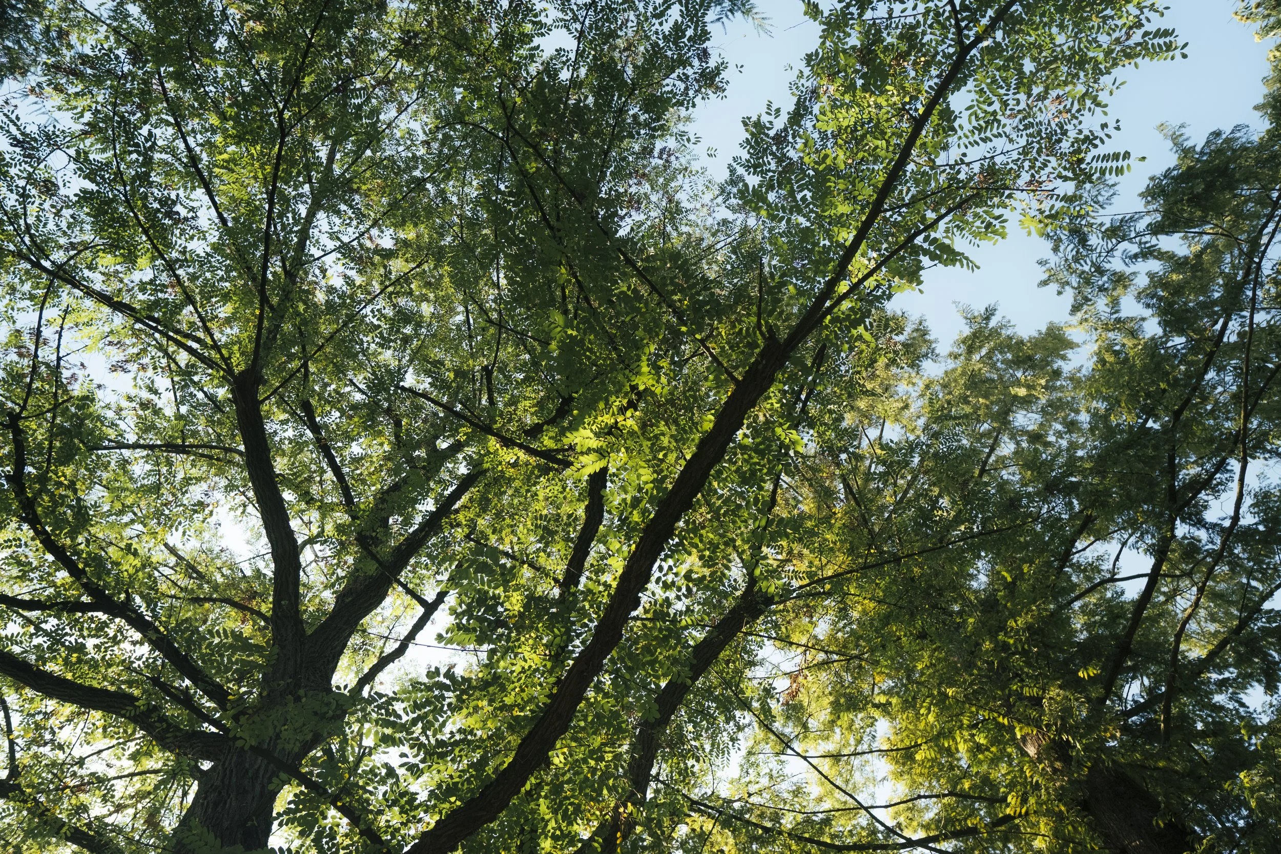 DSCF3786.jpg
