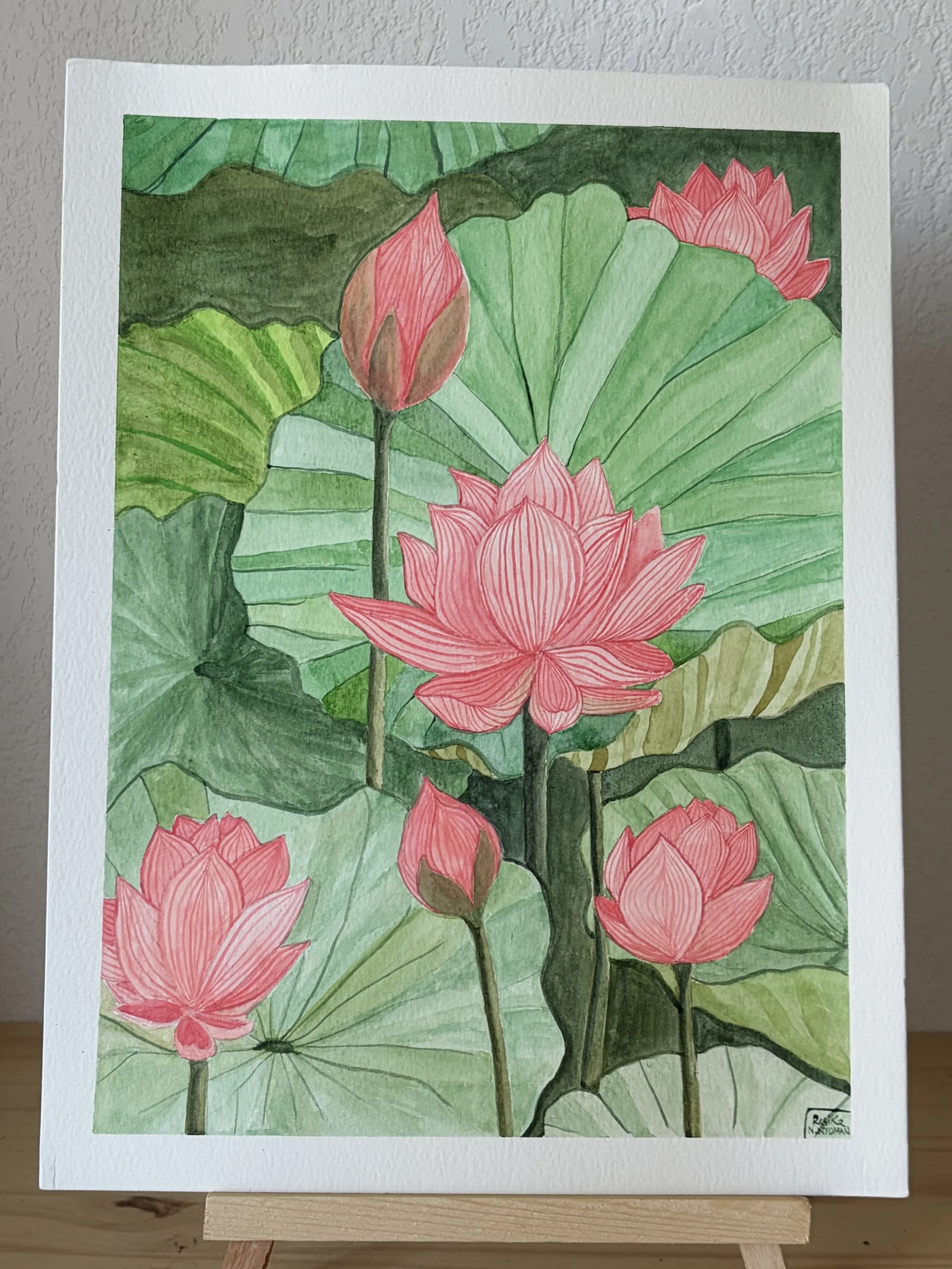 lotuses-real-2.jpg
