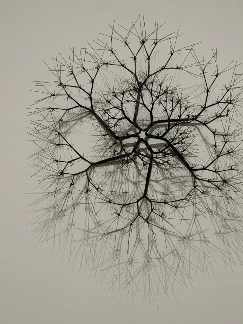 Gentle Start to the New Year