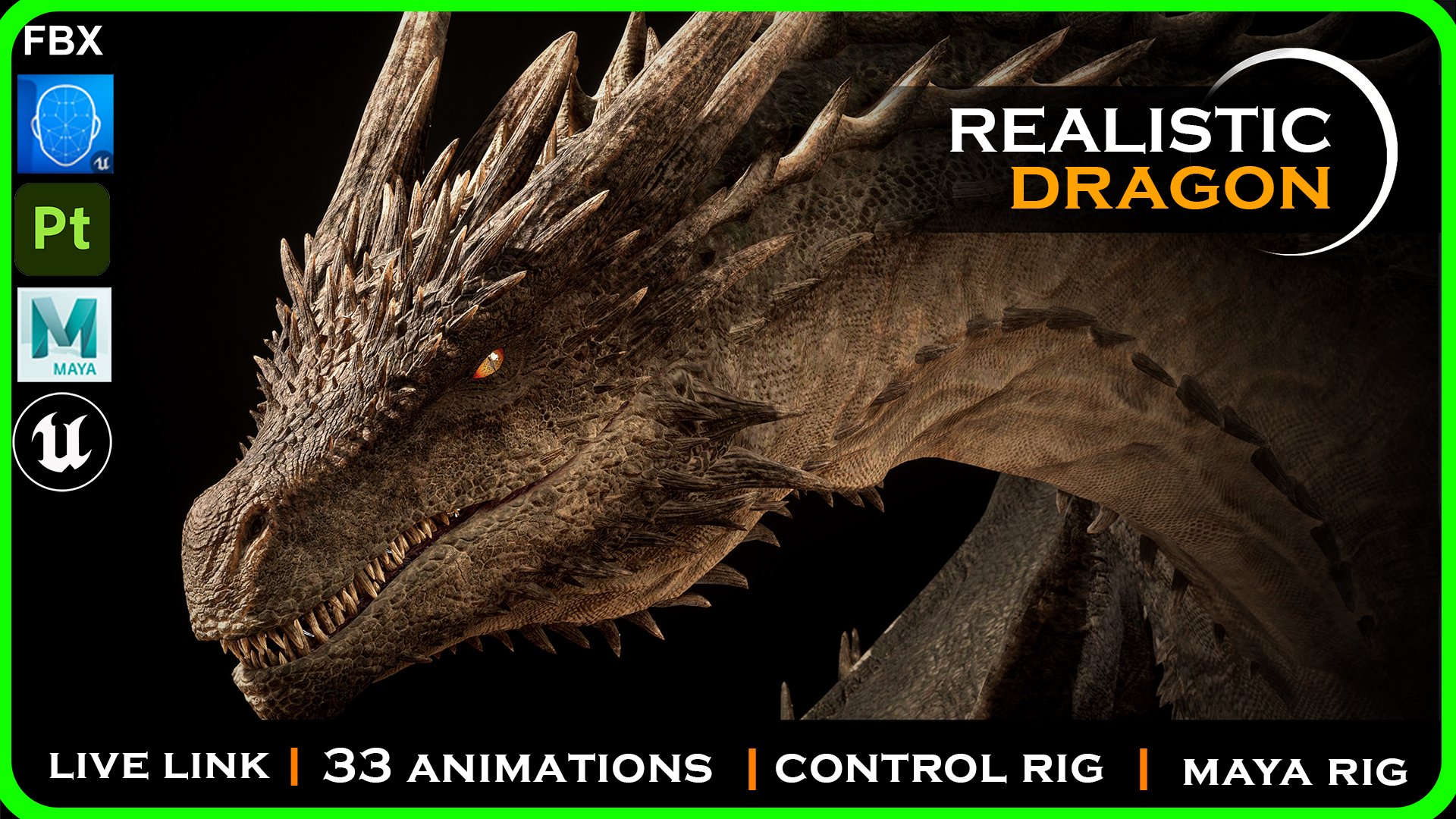 Realistic Venomous Dragon