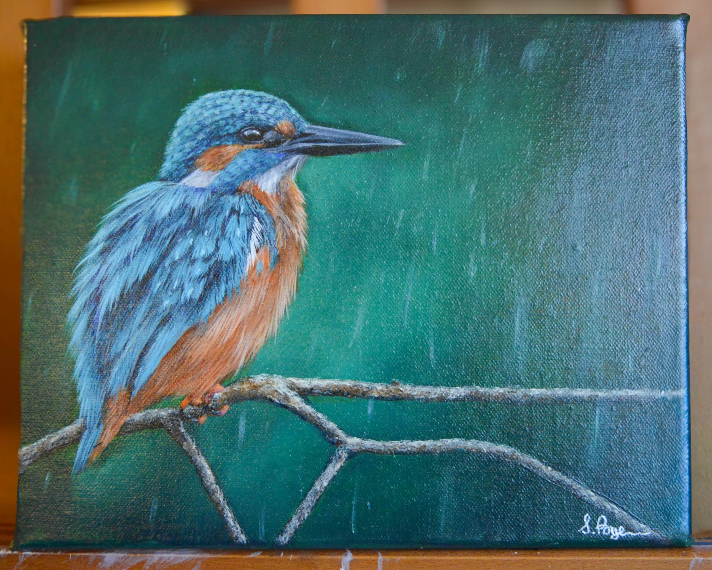 “Shower of prosperity”