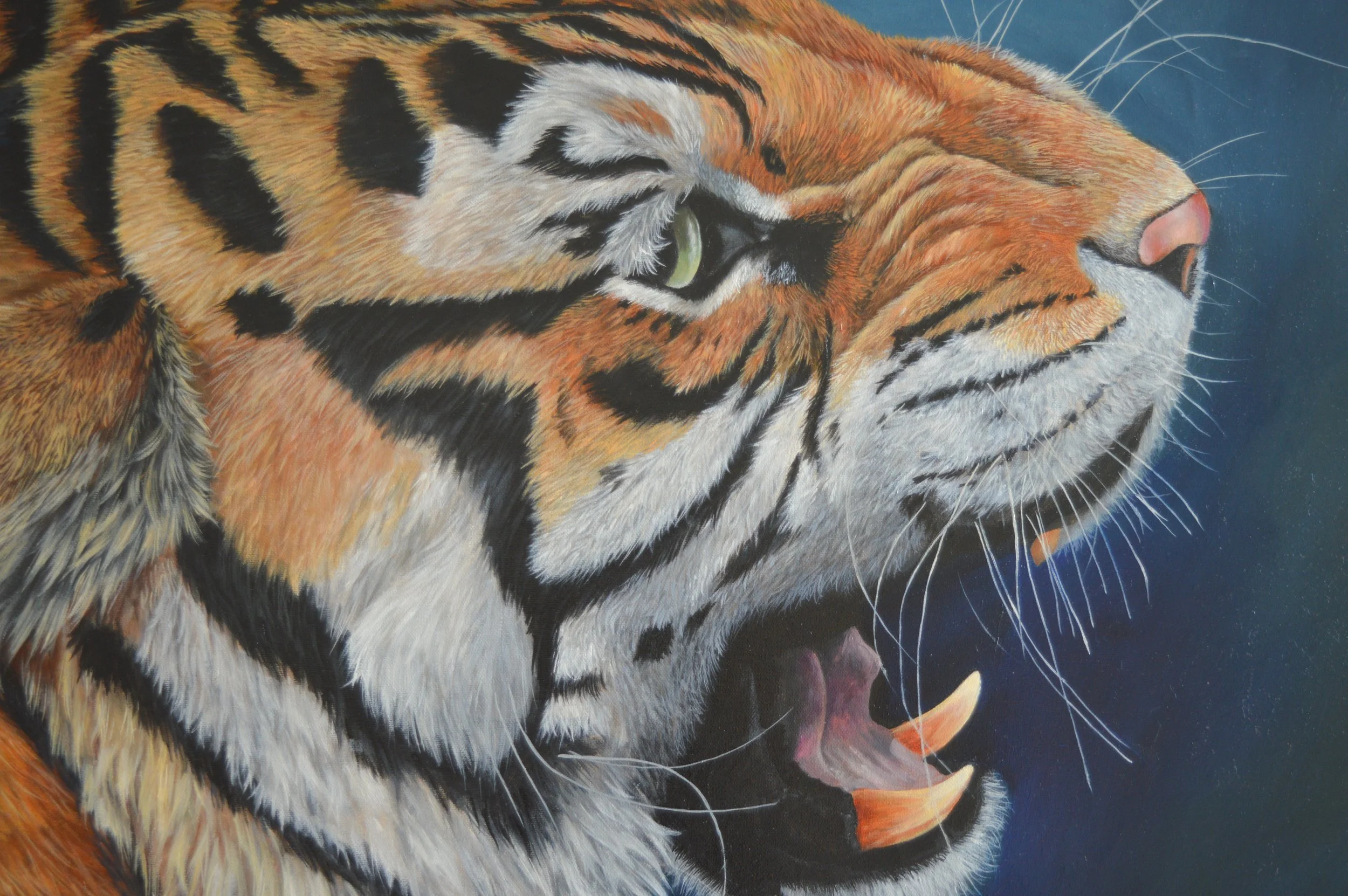 “Who disturbs my slumber?”