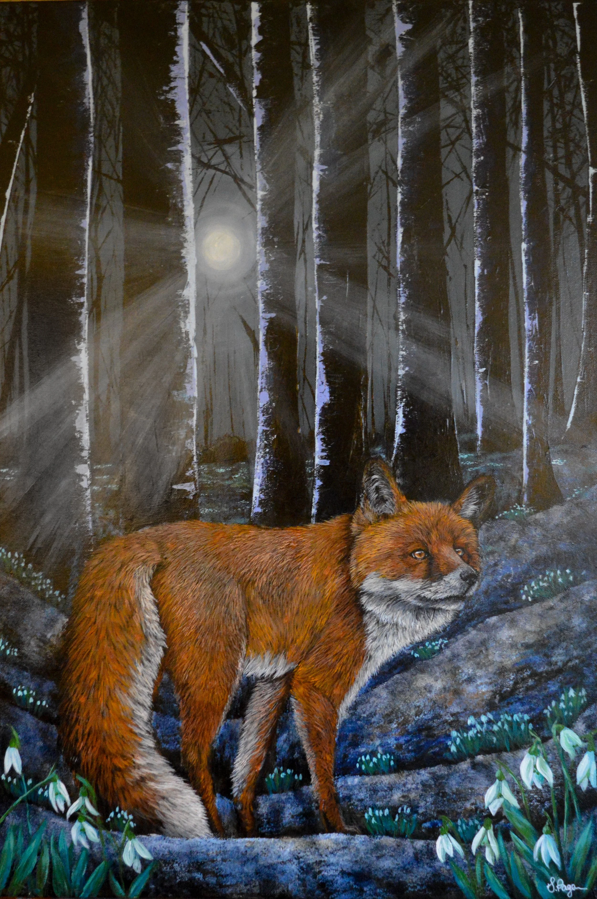 “The secret garden”