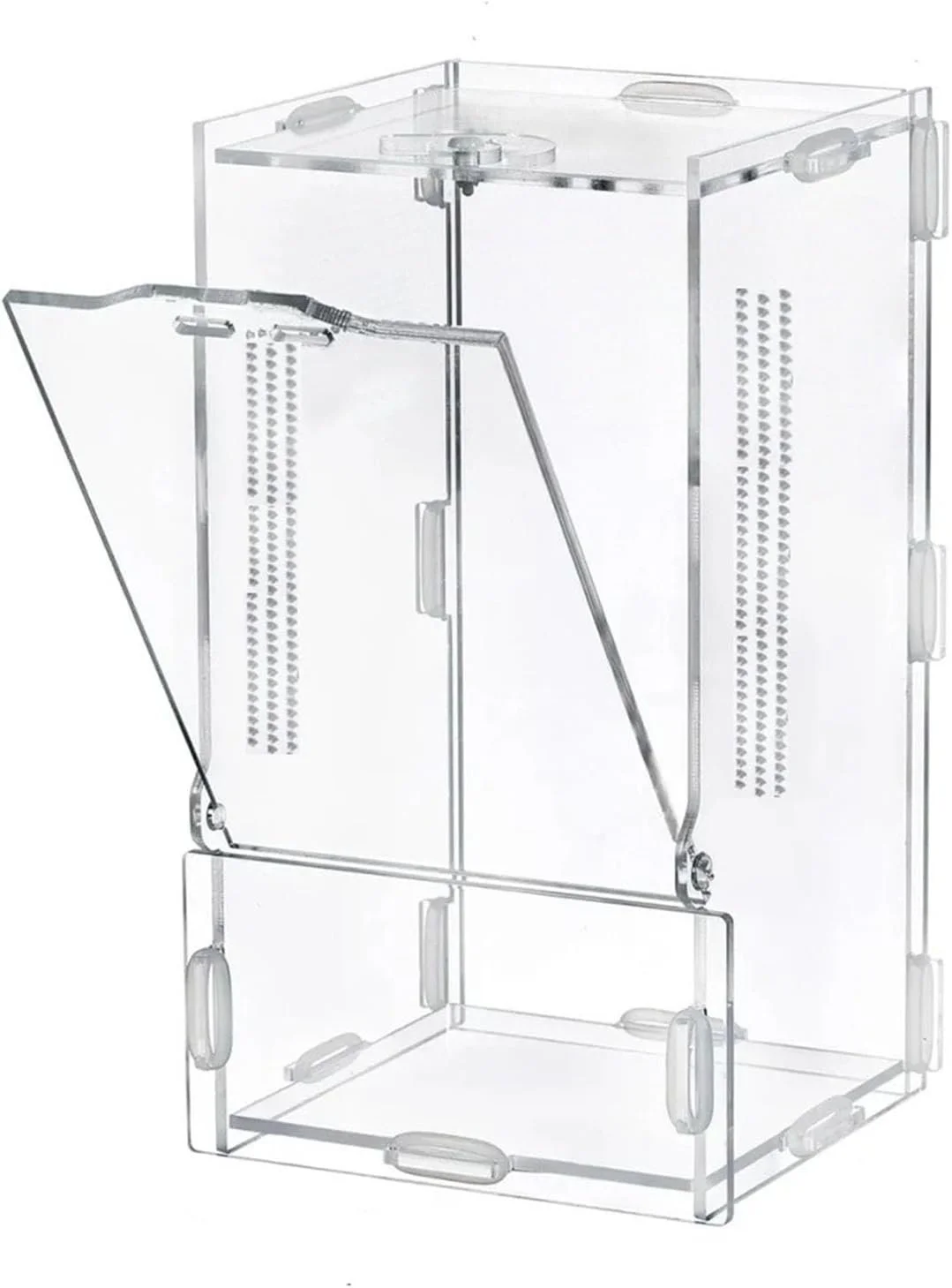 Jumping spider enclosure (large)