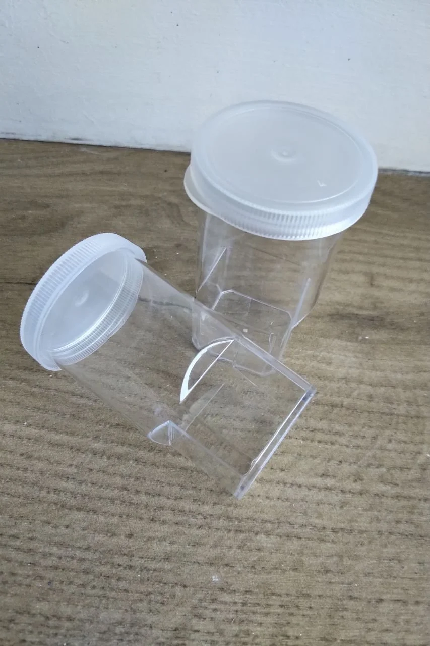 Spiderling vial