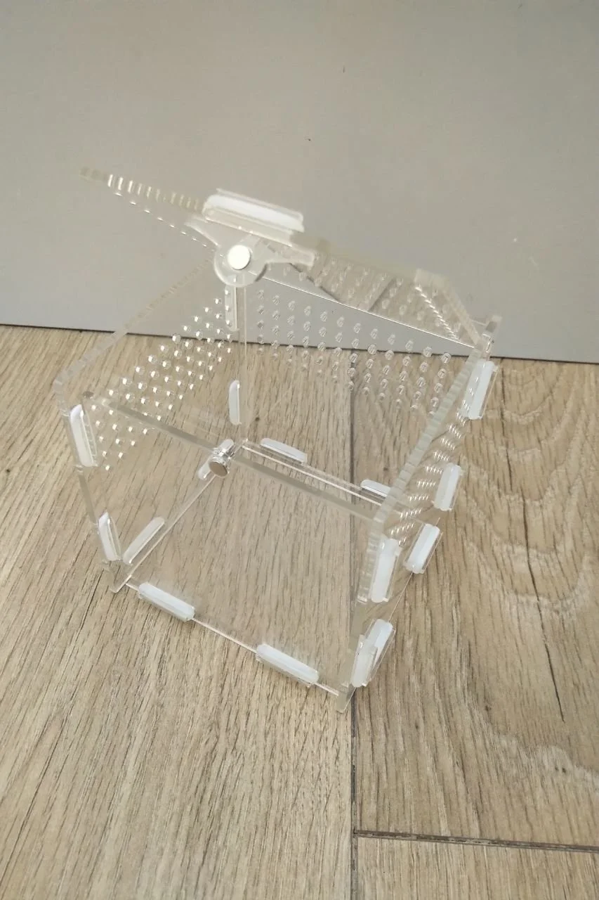 Jumping spider enclosure (small)