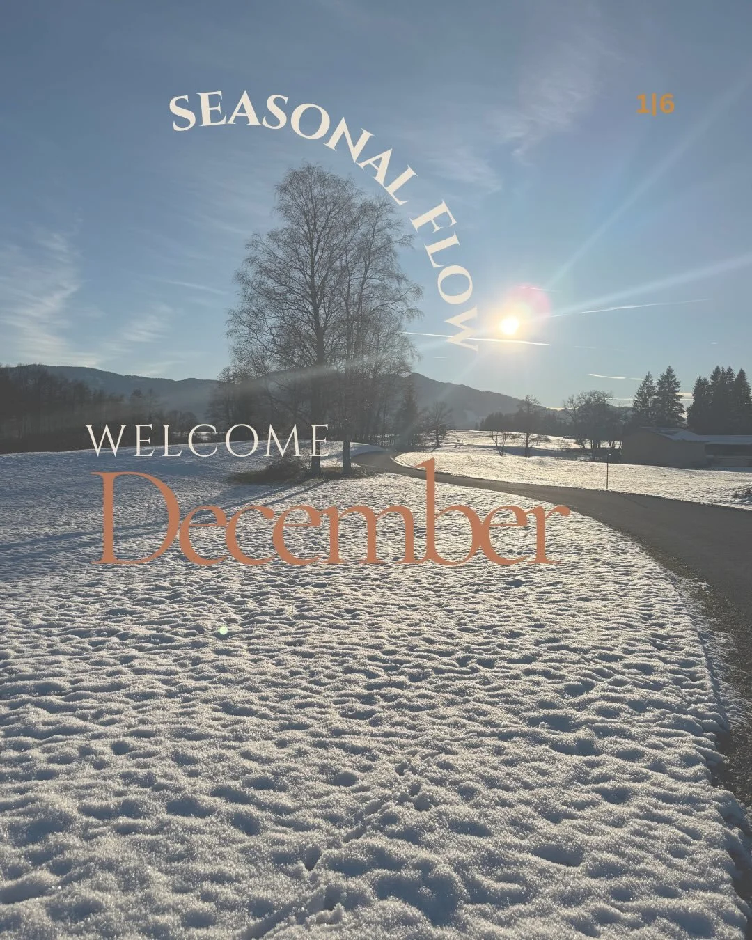 Dezember. Ein Monat f&uuml;r W&auml;rme, Verbundenheit und Klarheit. 

GOFORFLOW
ZYKLISCHES LEBEN
INTENTION
ACHTSAMKEIT
SEASONAL FLOW
