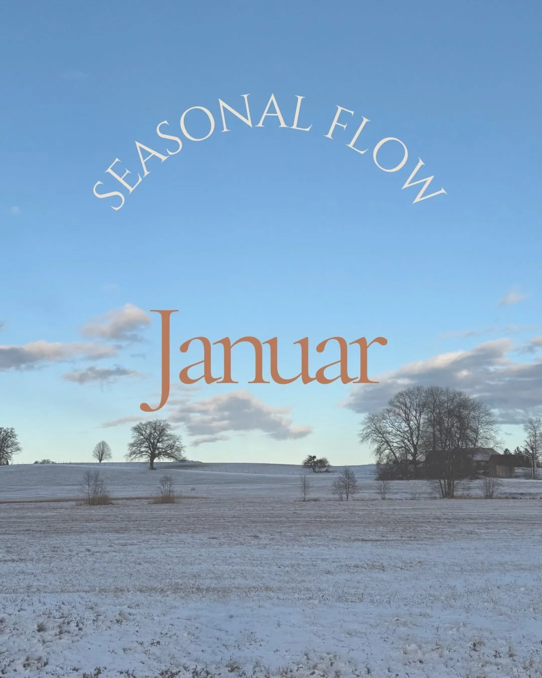 Der Januar war wohl mehr ein Ankommen. Langsam und auch durch den Schnee mit ganz viel Zauber. Alles hat seine Zeit und ganz offensichtlich ist es noch nicht der Fr&uuml;hling.

Das Jahreskreisfest Imbolc am 01.02. markiert den langsamen &Uuml;bergan