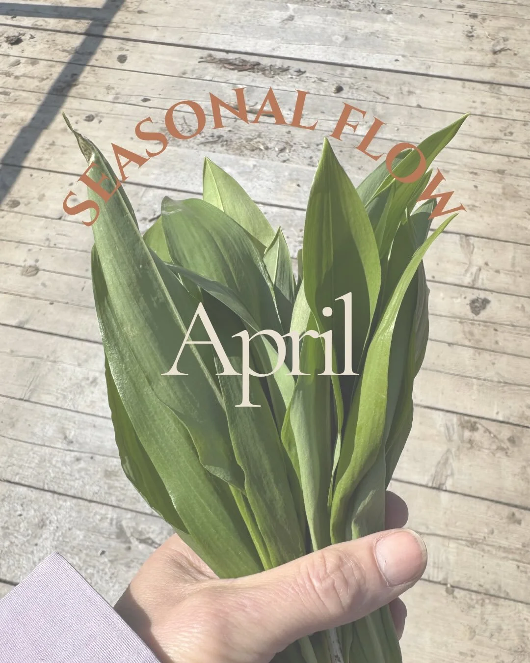 Raus mit uns in die Natur und mit der Fr&uuml;hlingsenergie auf einem ganz nat&uuml;rlichen Weg in die Umsetzung kommen. 
Was darf bei dir jetzt mehr Raum bekommen? Ich freu mich auf deine Antwort in den Kommentaren. 
.
.
.
SEASONAL FLOW
YOGA
NATURNA