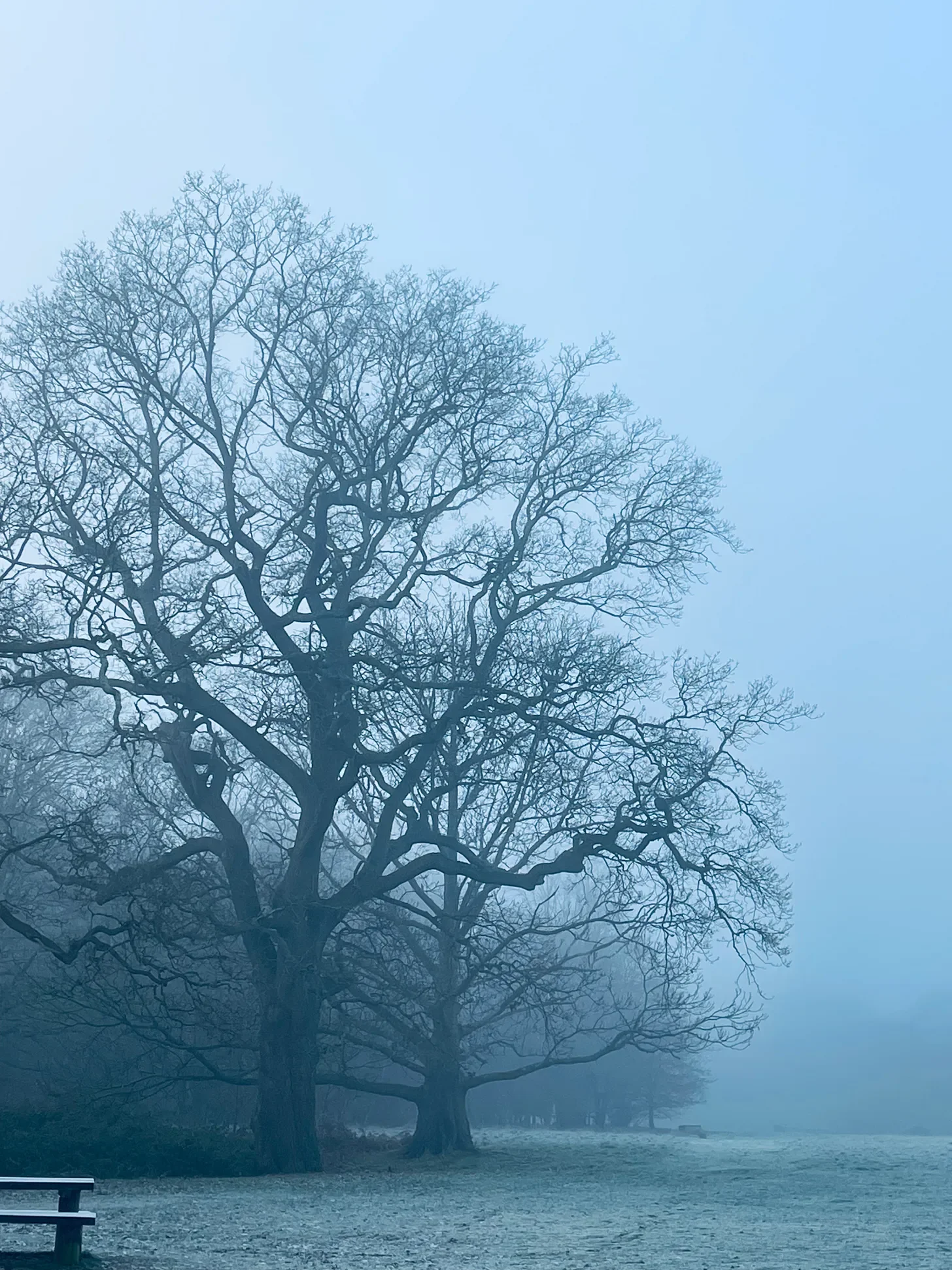 Chasing enoughness perpetuates the occurrence of not-enoughness 