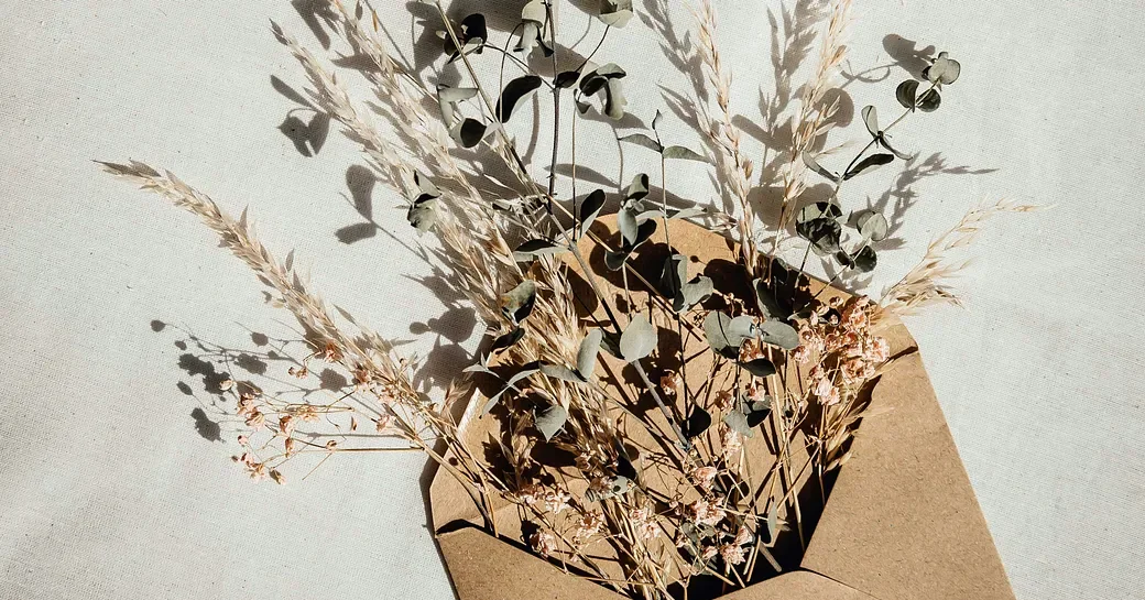 Letters to my dream clients