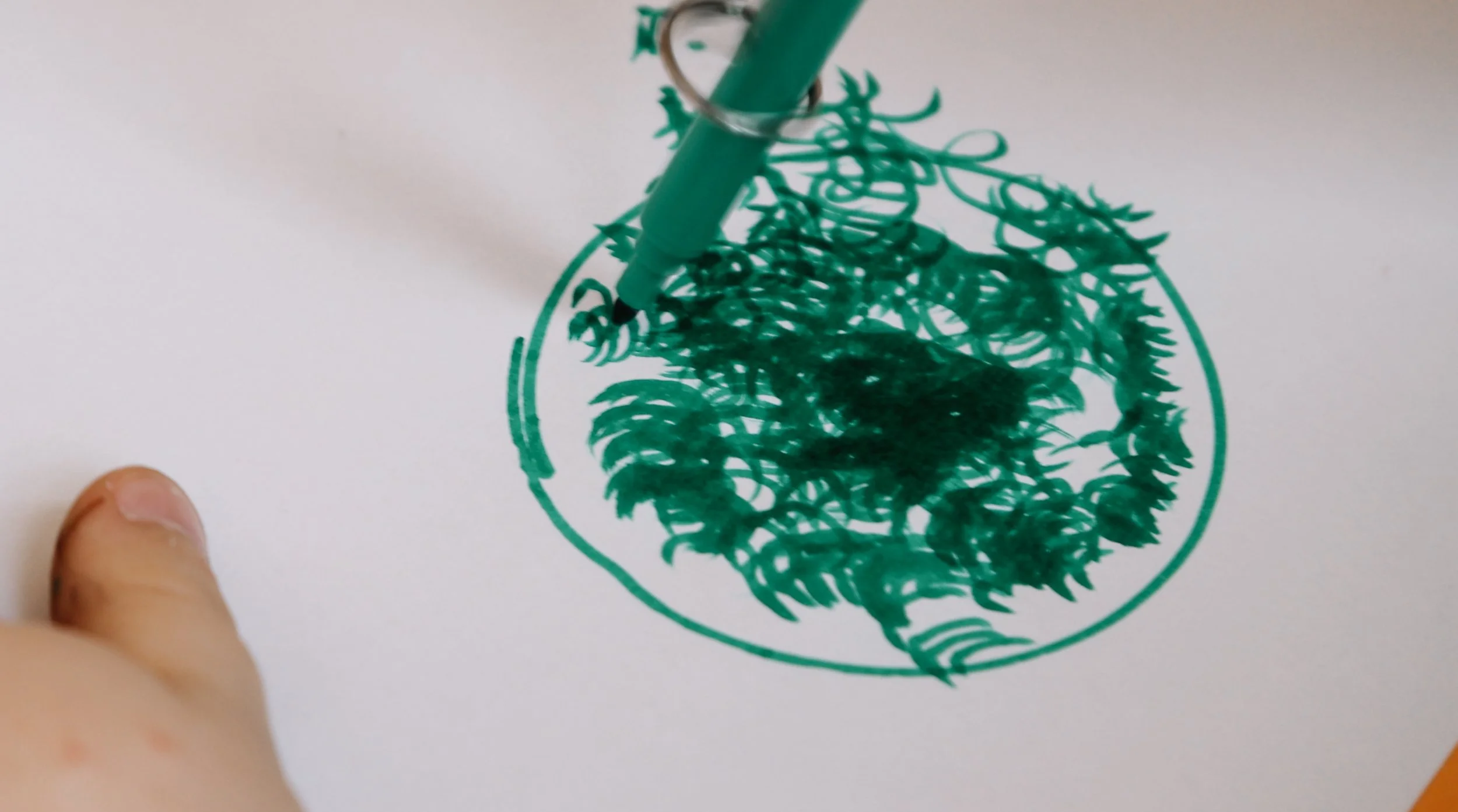 Captura de ecrã 2026-01-14, às 16.12.47.jpg