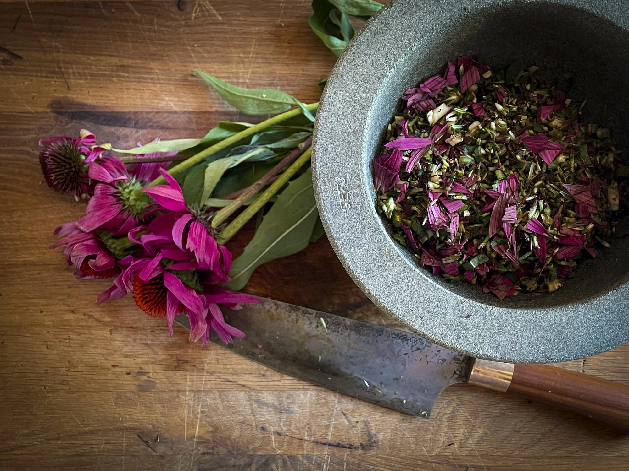 IMG_9809.jpg (Kopie)