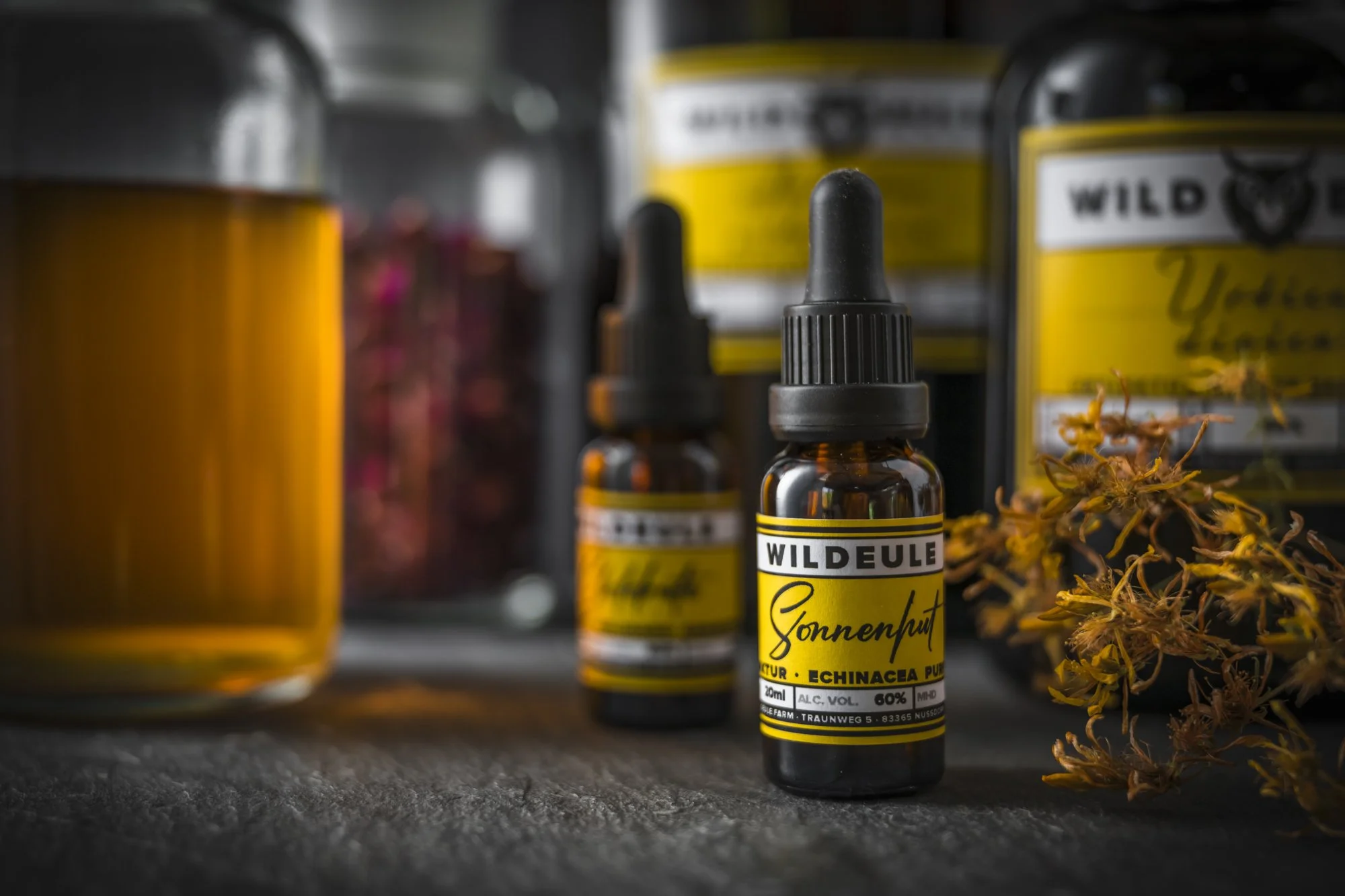 _DSC2953-Bearbeitet.jpg (Kopie)