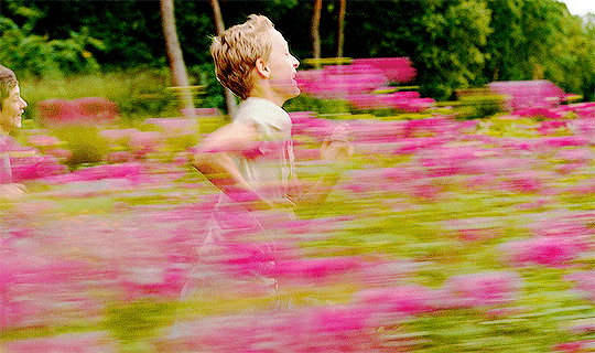 A person running through a vibrant pink flower field during daytime.
