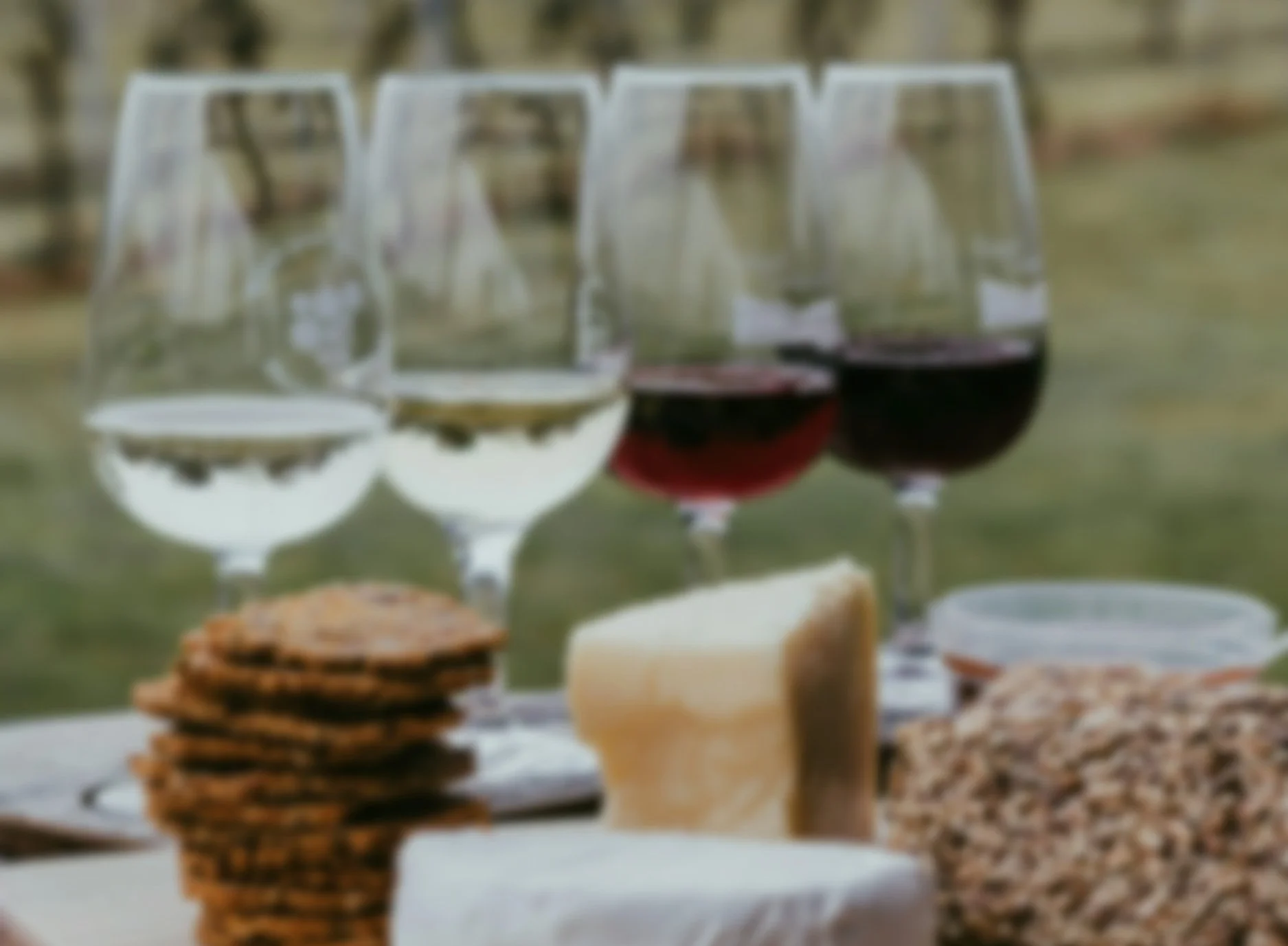 Vier Weingläser mit Weißwein und Rotwein, Käsestücke, Kekse und Nüsse auf einer Picknickdecke im Freien.