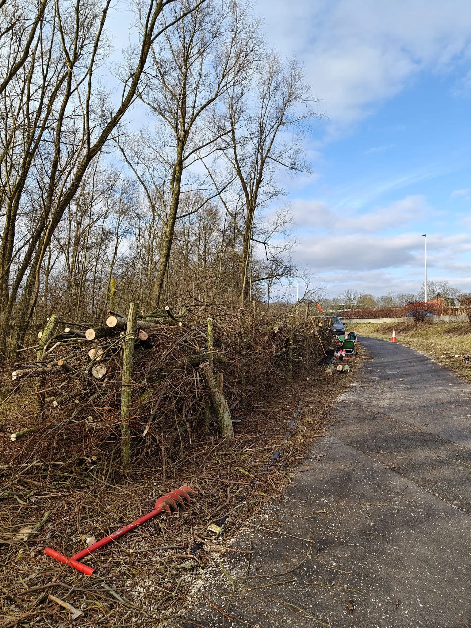 Afgezaagd bomen en takken naast een fietspad gestapeld.