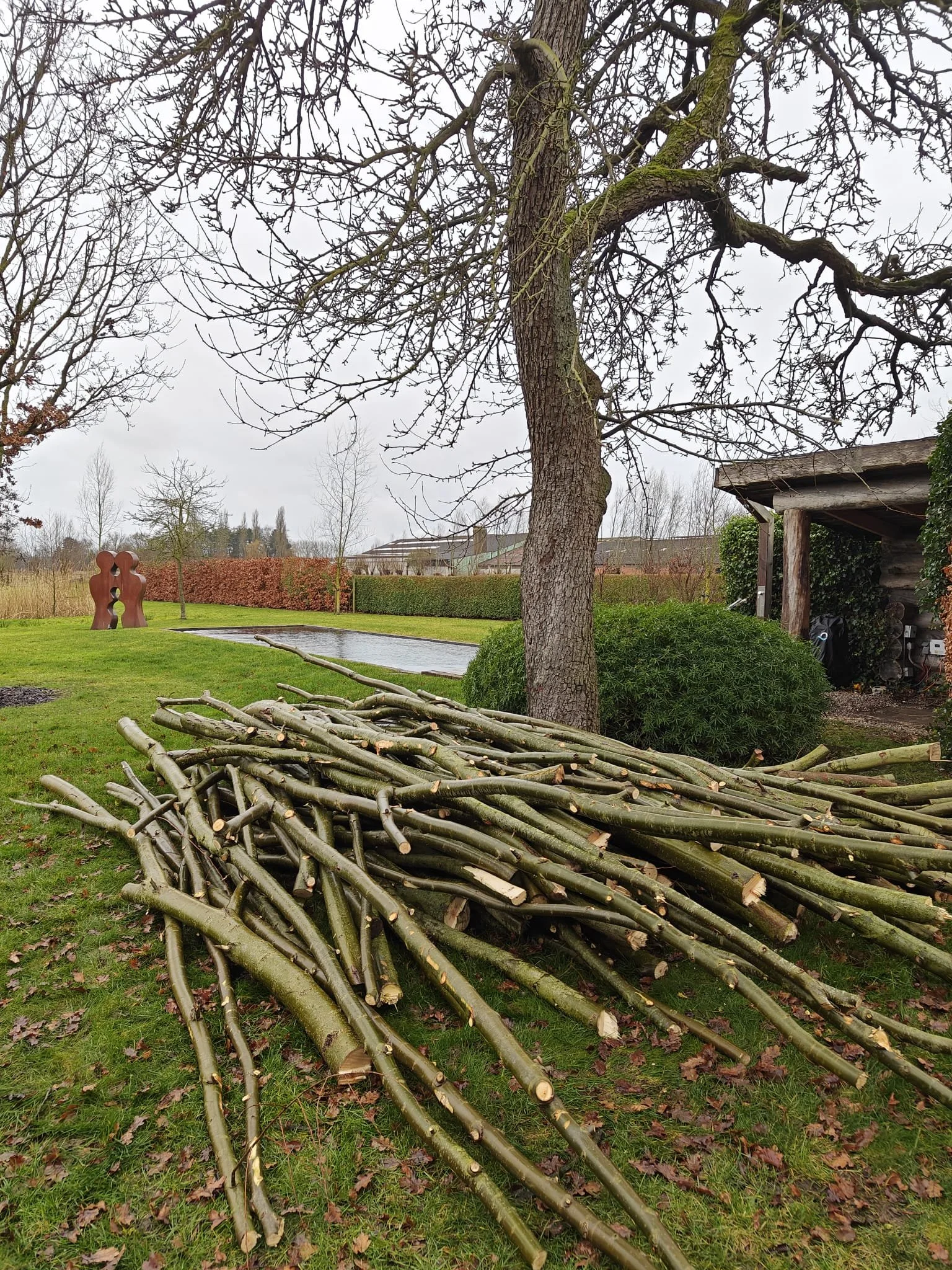 Een tuin met een grote boom en met een opgestapelde lading takken. 