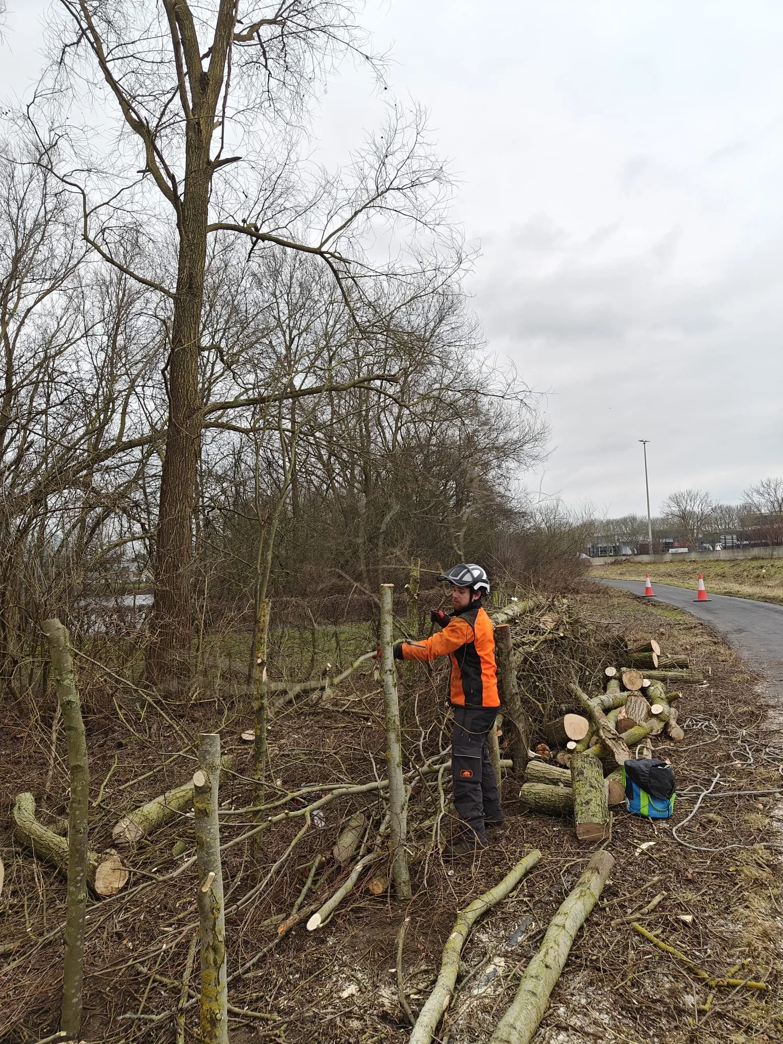 Mann in oranje en zwarte jas met een helm op, die takken snoeit naast een boom, met afgezaagde boomstammen en takken op de grond. 