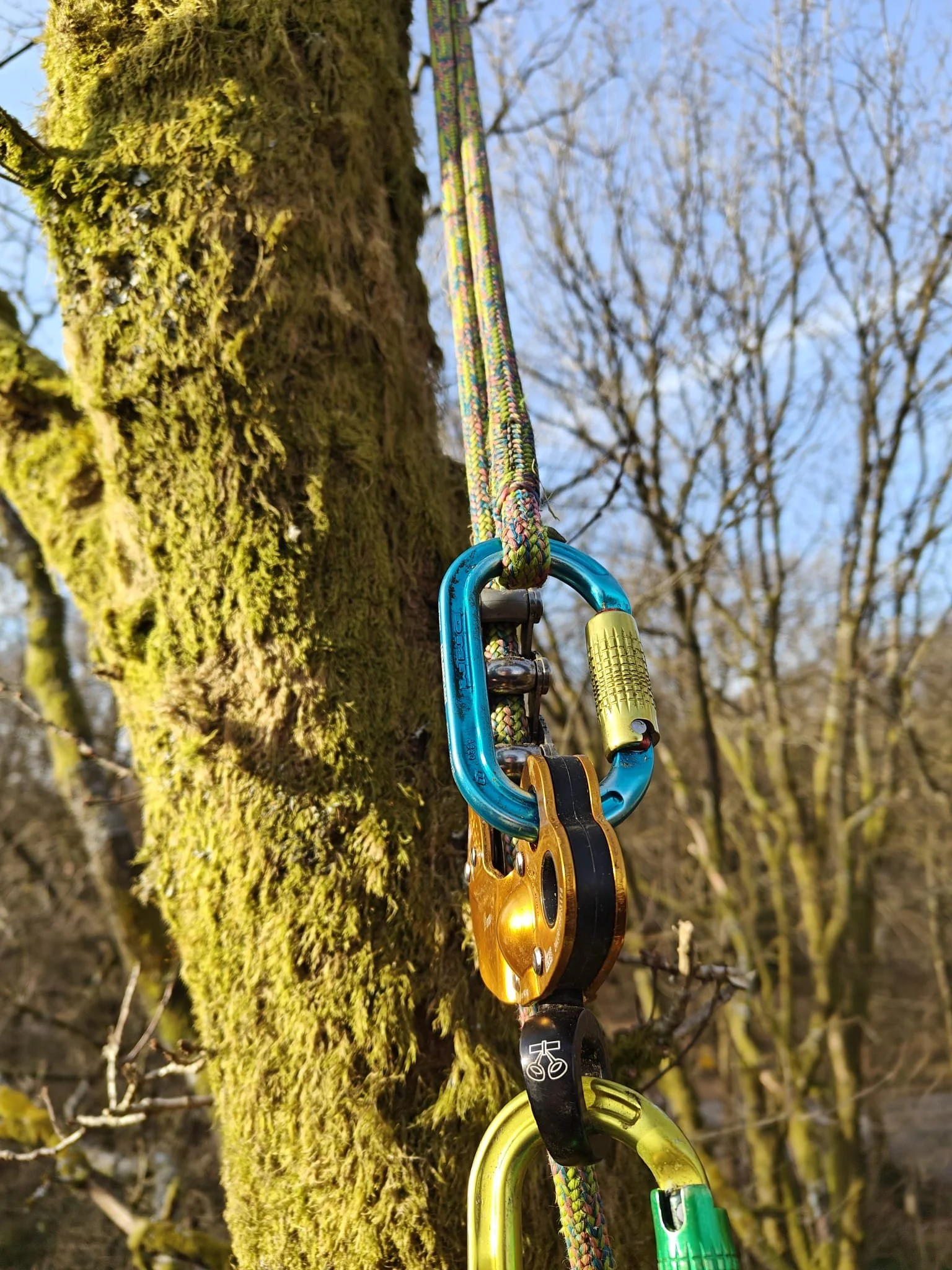 Tijl Belsack aan het werk als boomverzorger, waarbij zijn gereedschap te zien is.