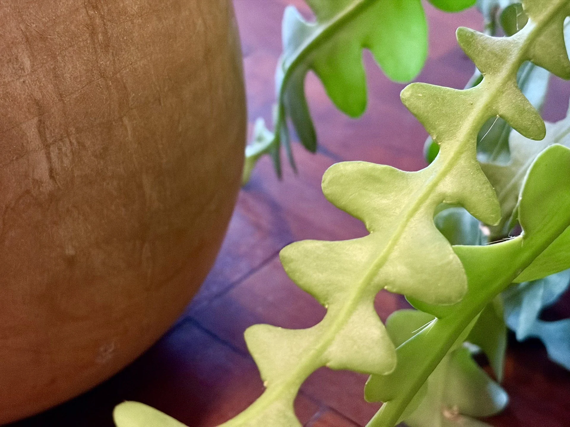 Blog Post Title Four