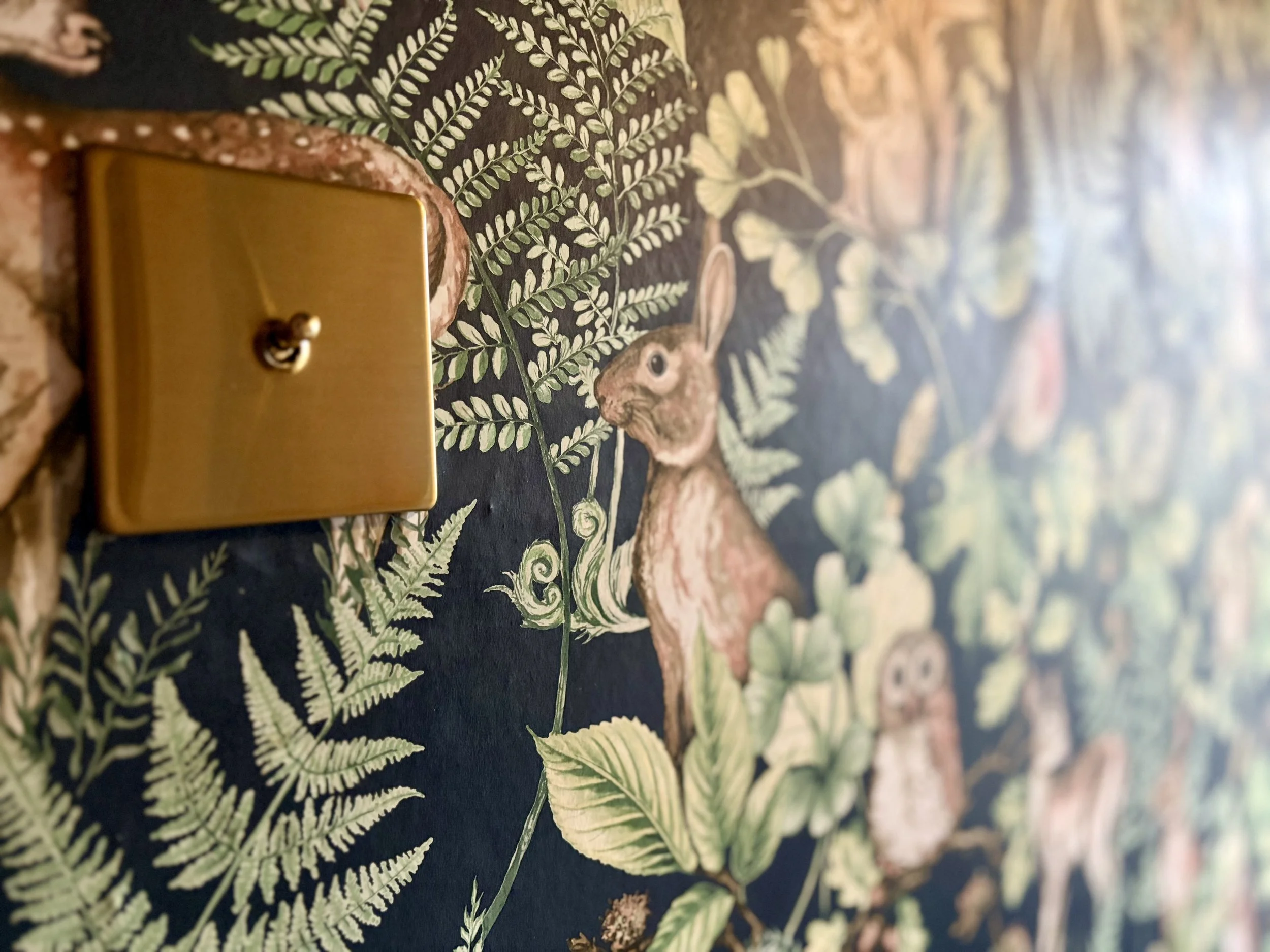 Wallpaper featuring images of nature