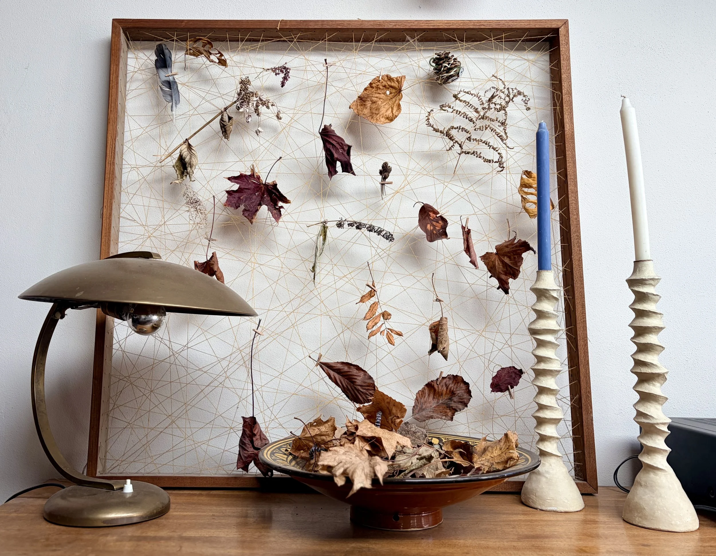 A collection of found seasonal natural objects