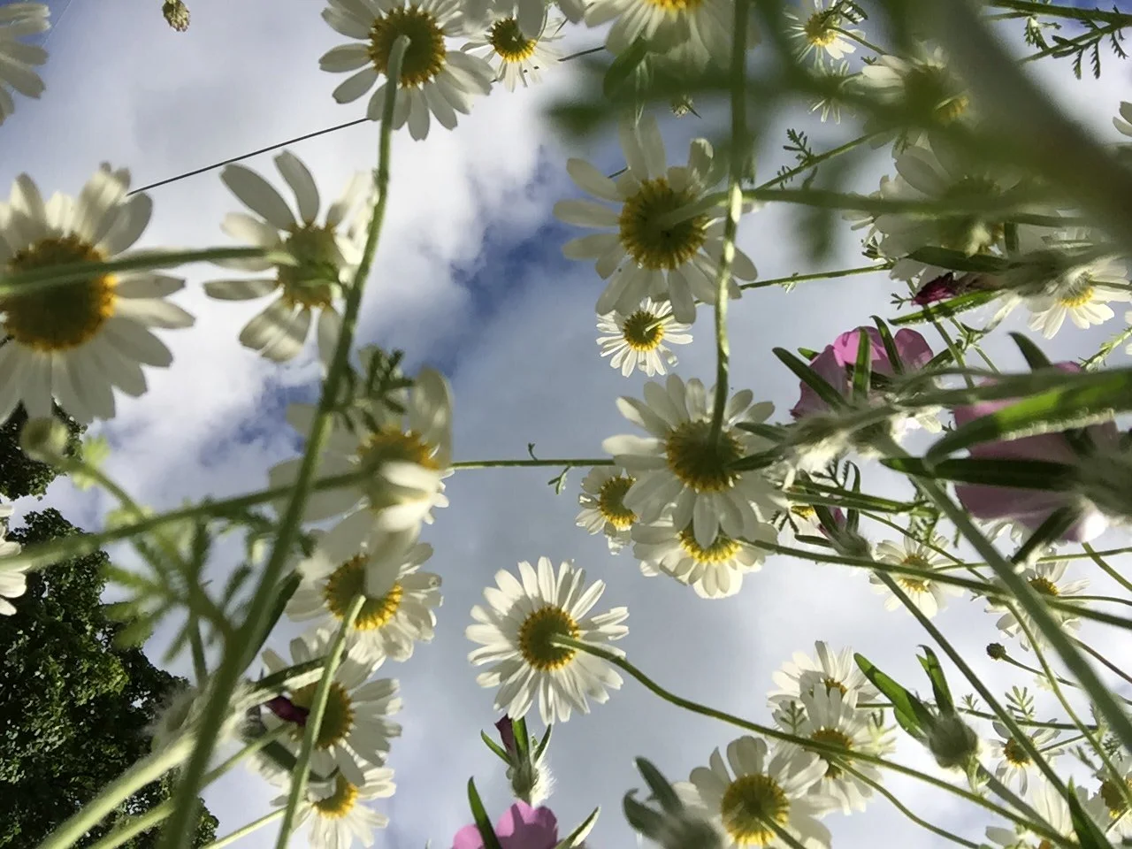 The benefits of nature connection for people, communities and the planet