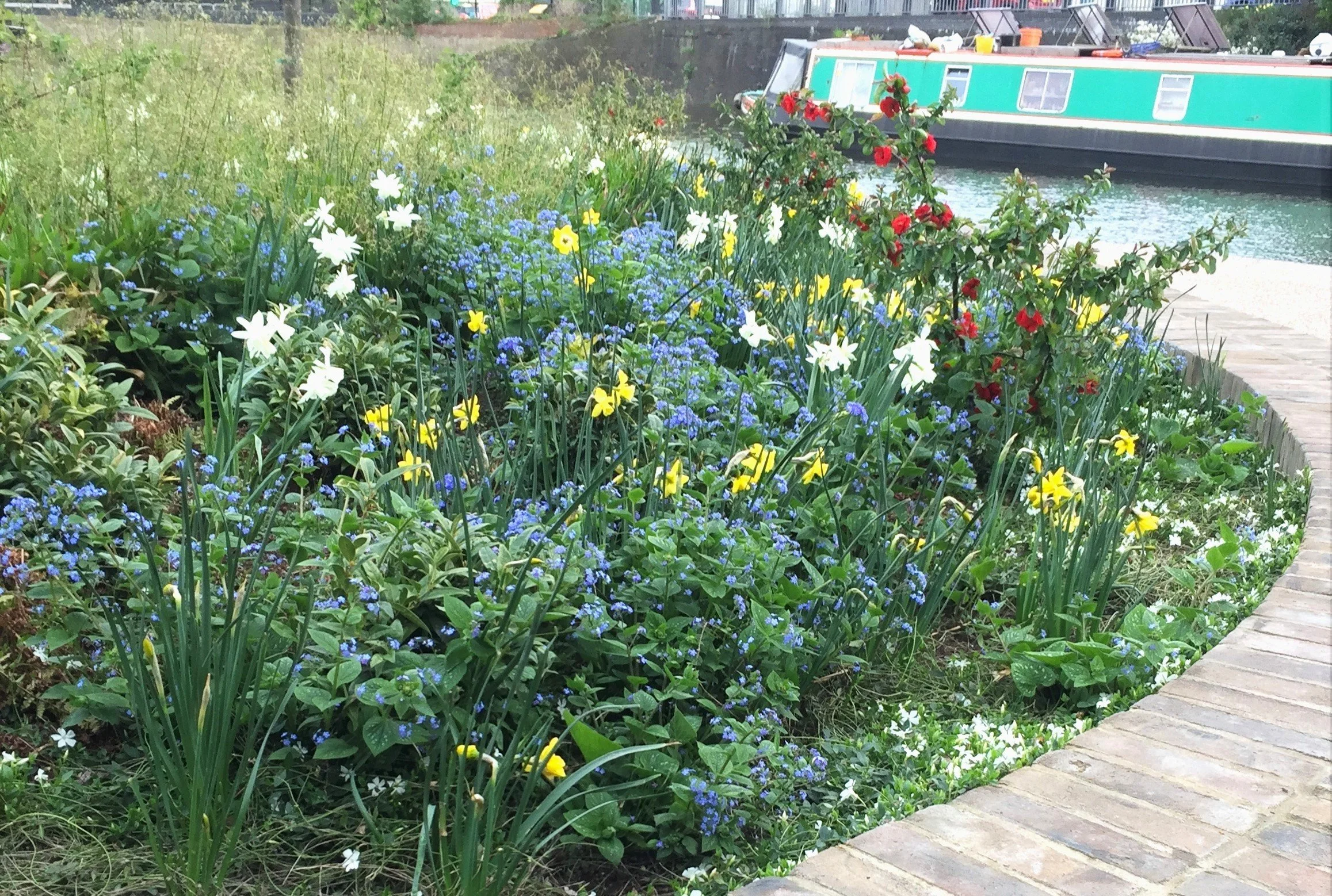 Why nature connection belongs in more community programmes and services
