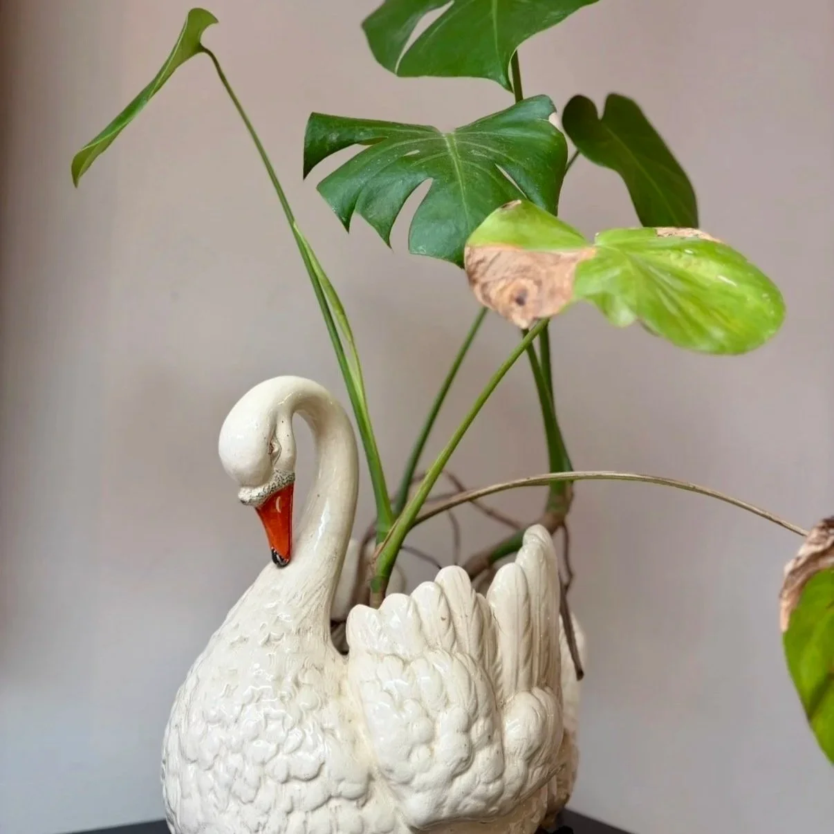 A journey from frivolity - the critical importance of interior design for people and planet