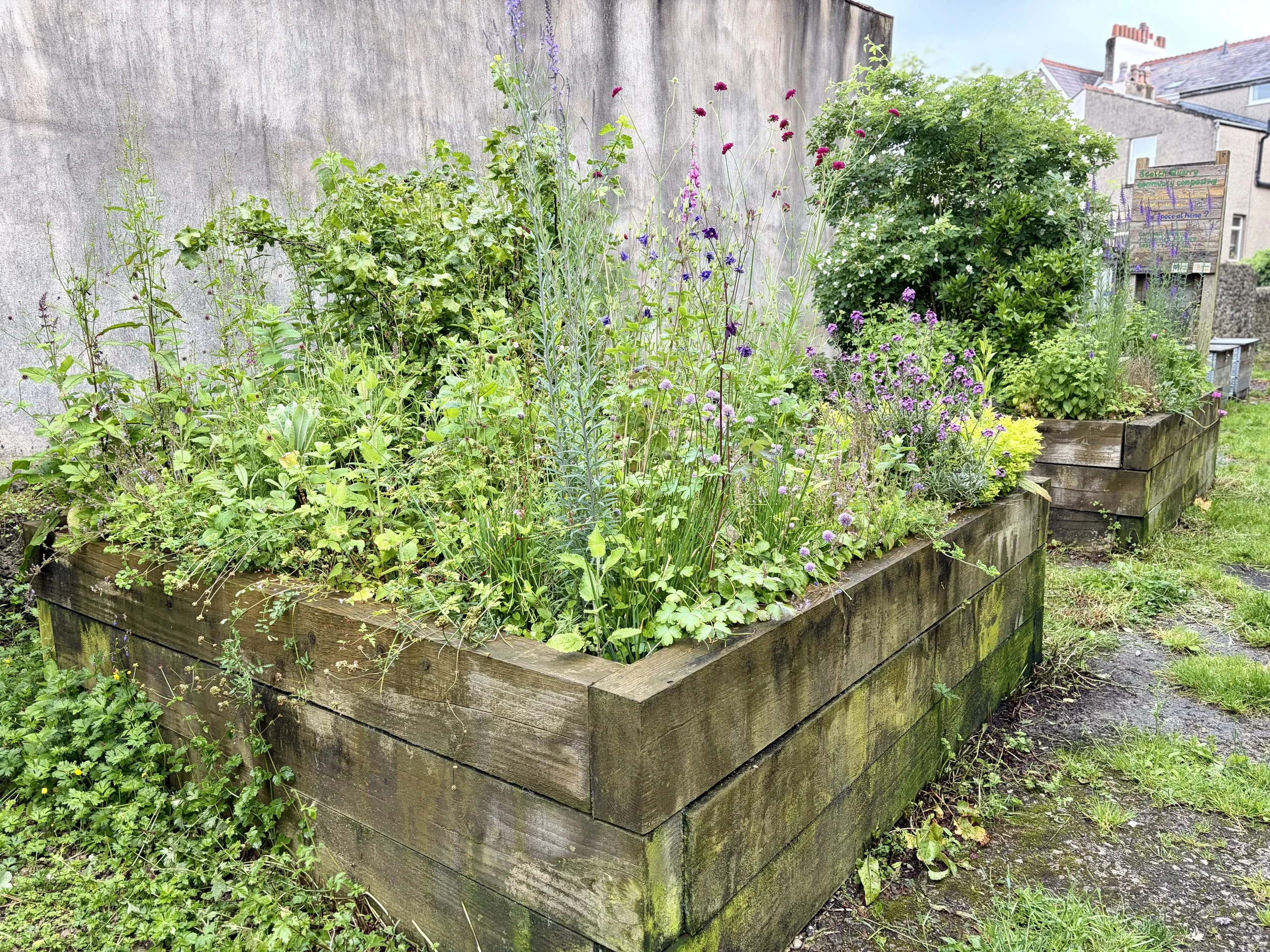 Why nature connection belongs in more community programmes and services