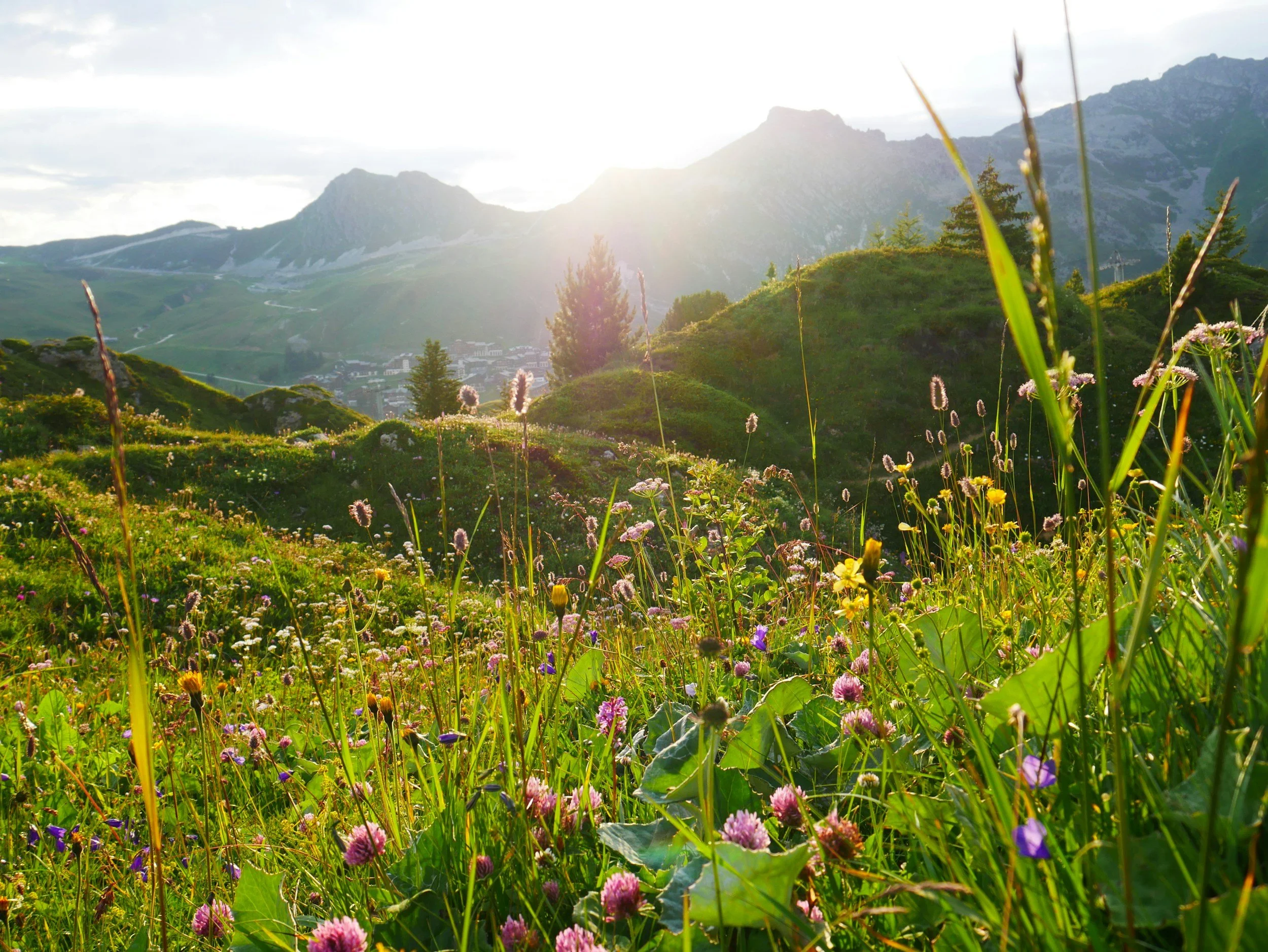 Why nature connection matters: An undervalued response to the challenges of our time
