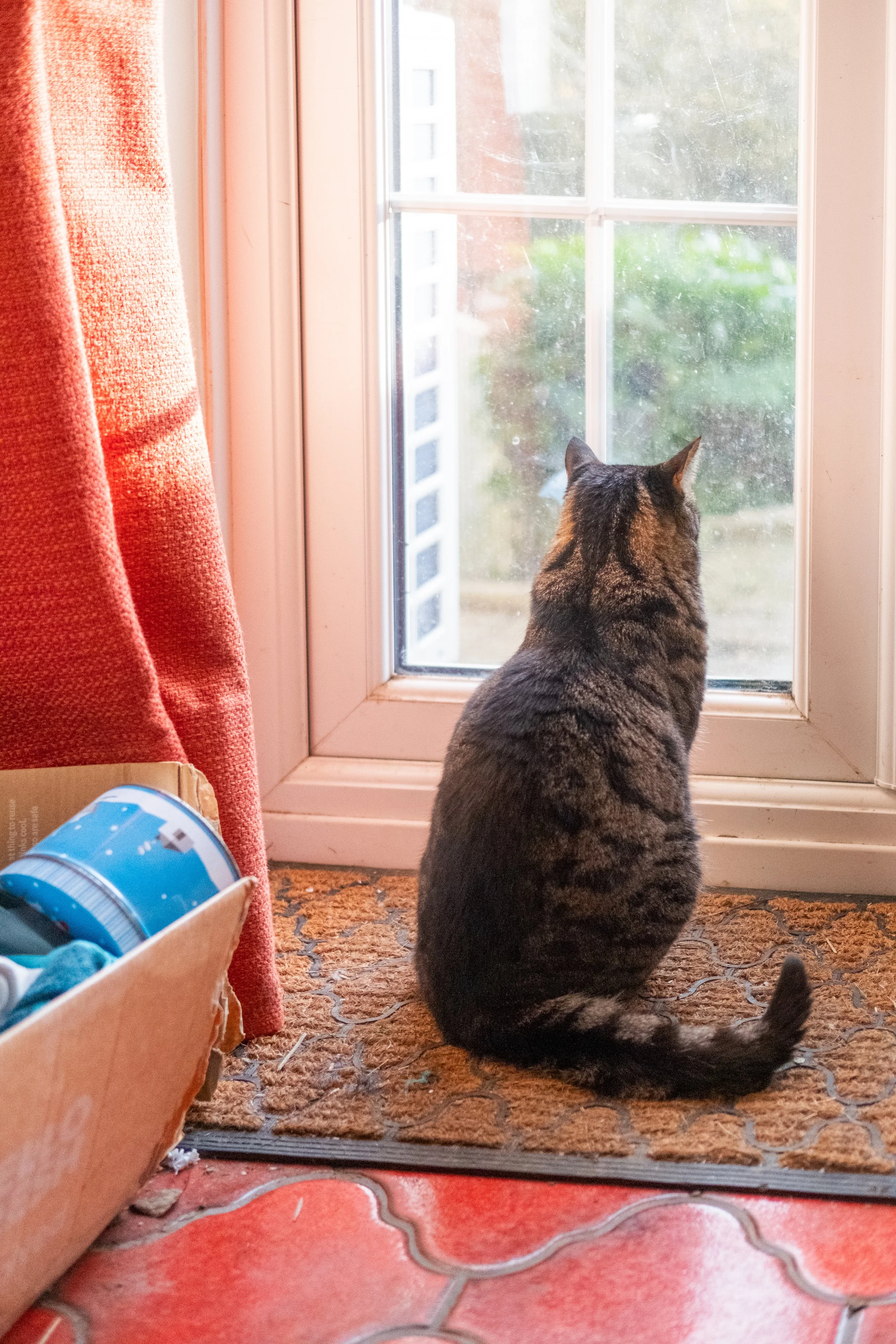 DSCF3816.jpg