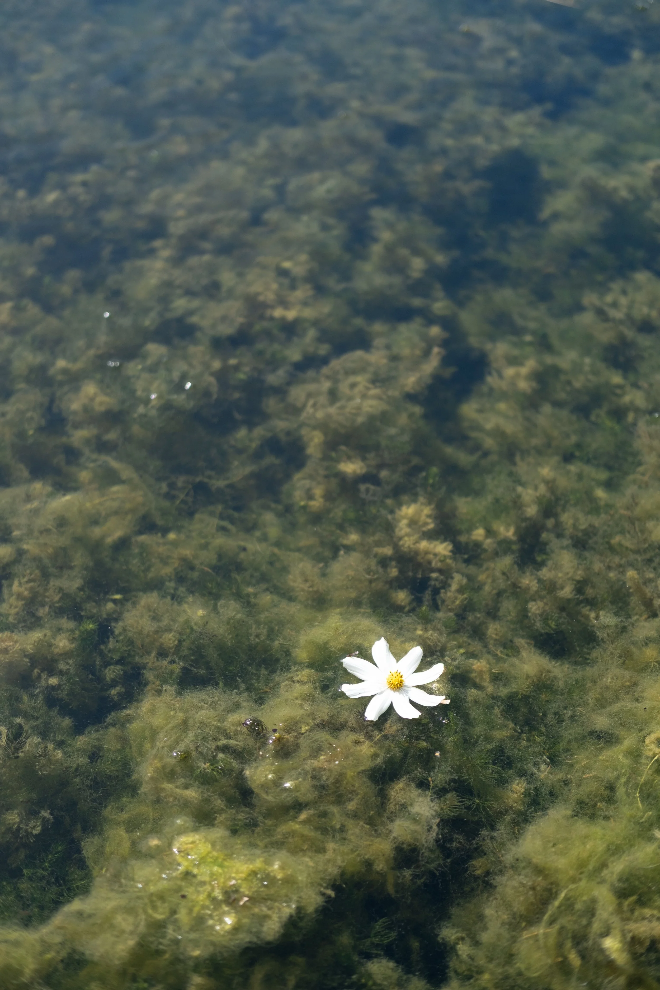 DSCF2833.jpg