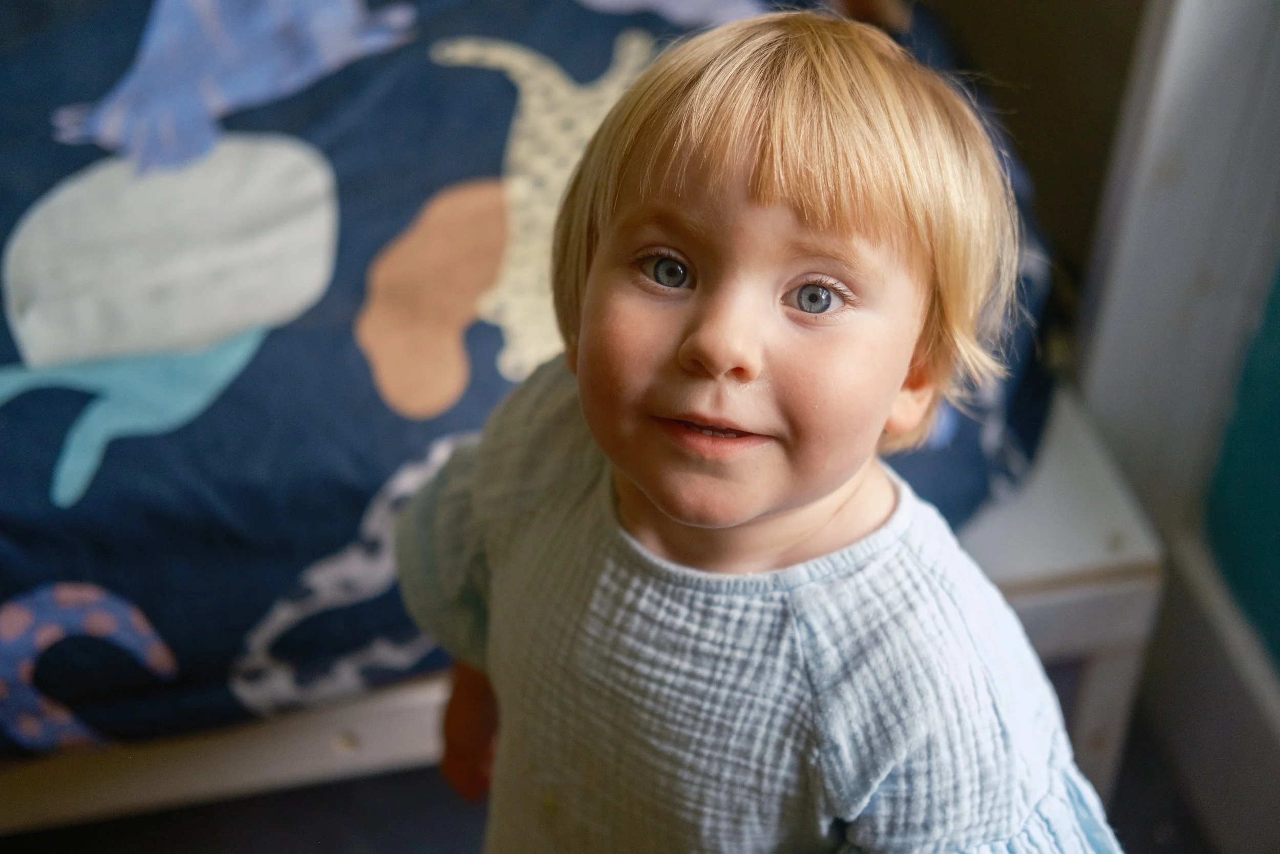 A young boy with blond hair and blue eyes looking up at the camera, standing indoors near a bed with a blue duvet cover decorated with animal illustrations.