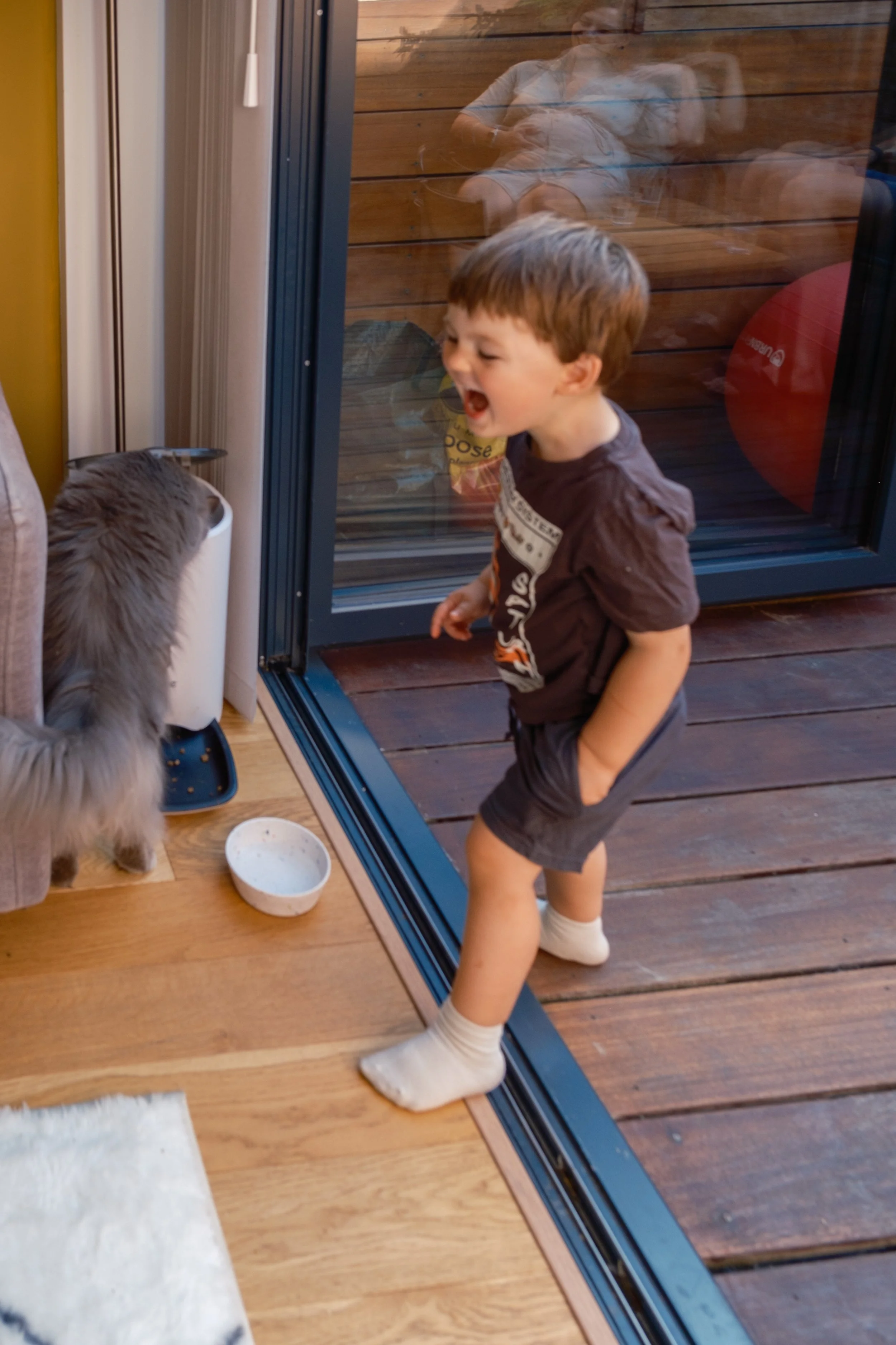 A young boy with brown hair, wearing a brown T-shirt and shorts, standing inside near a glass door, appears to be yelling or shouting, with his eyes closed and mouth open, possibly at a cat outside.