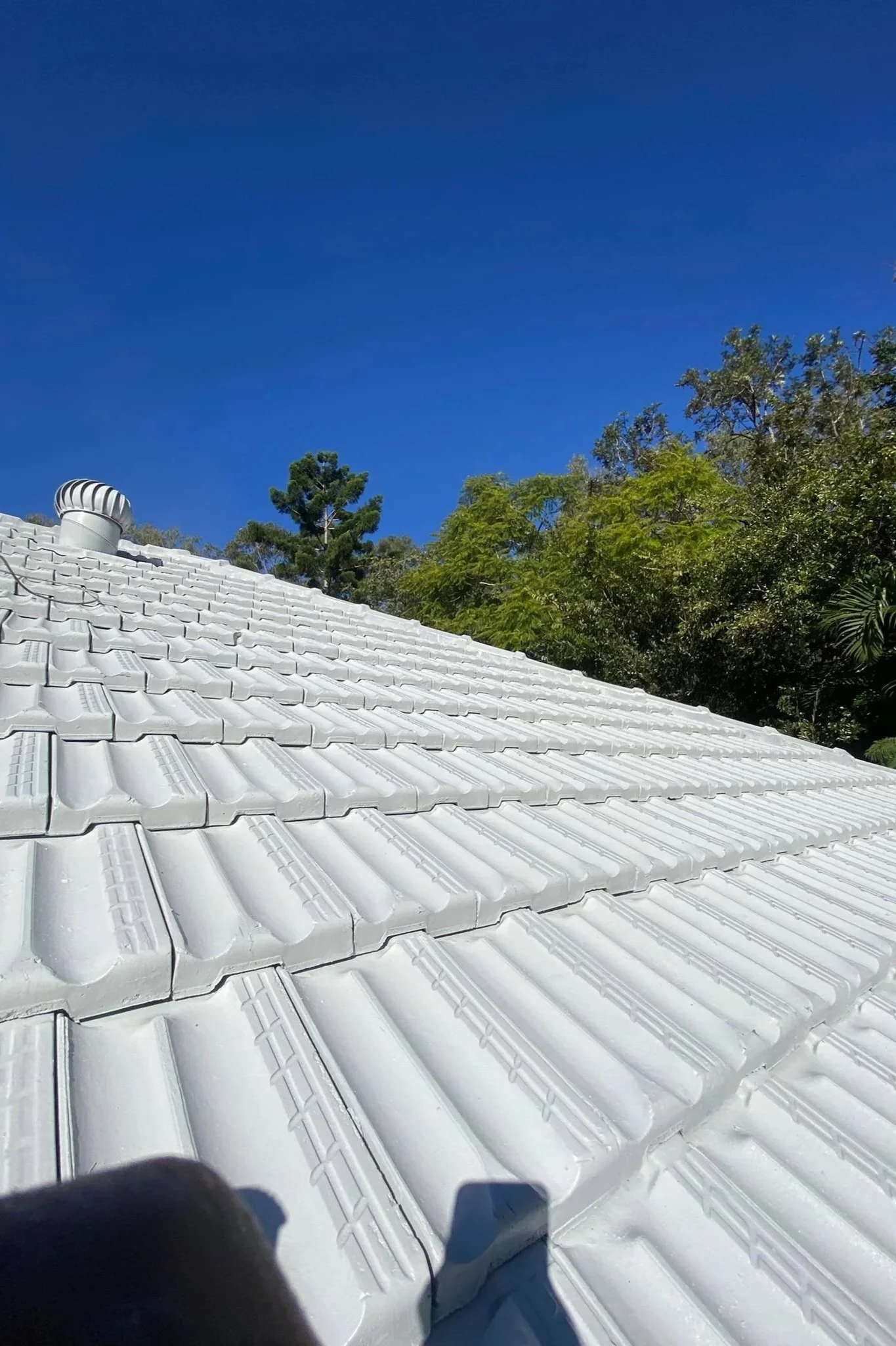 Close-up view of a white tiled roof with green trees and a blue sky in the background.