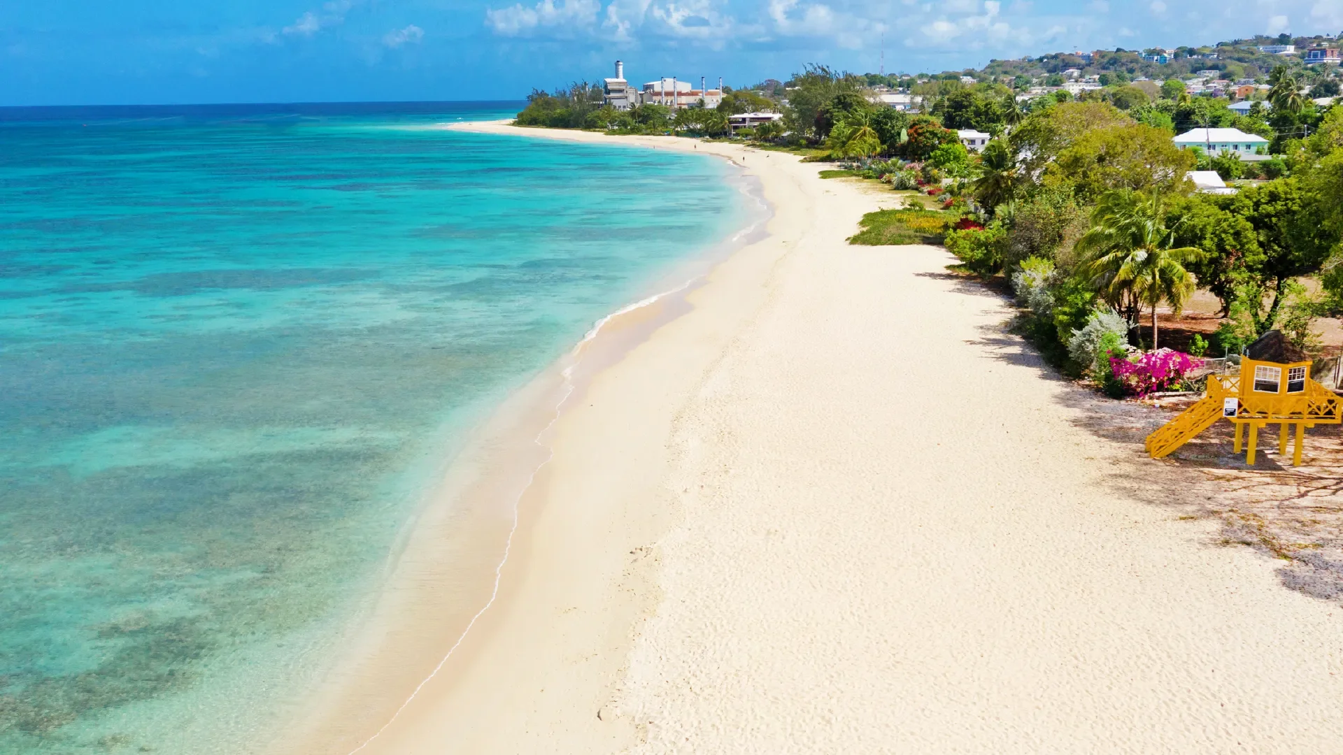 Black Bless, Saint Peter, Barbados