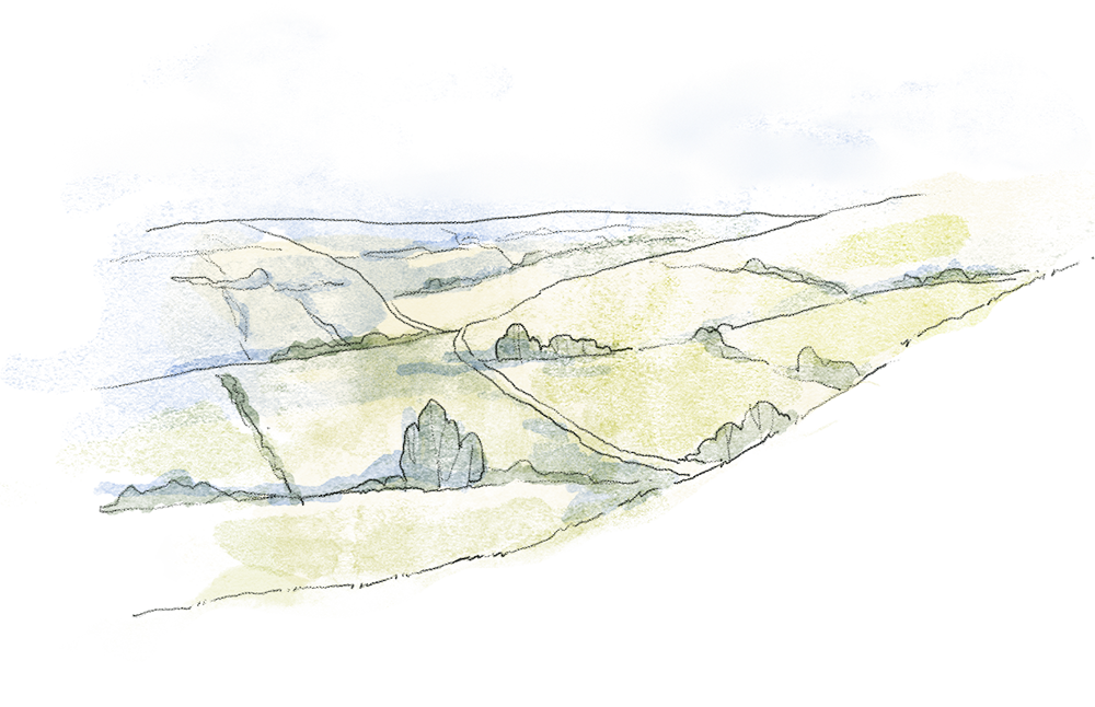 Studio Lilaya atmospheric architectural illustration of a landscape with trees and hedgerows, scattered trees, and a cloudy sky.