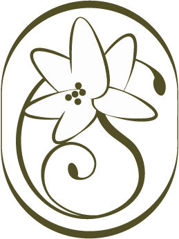 Studio Lilaya