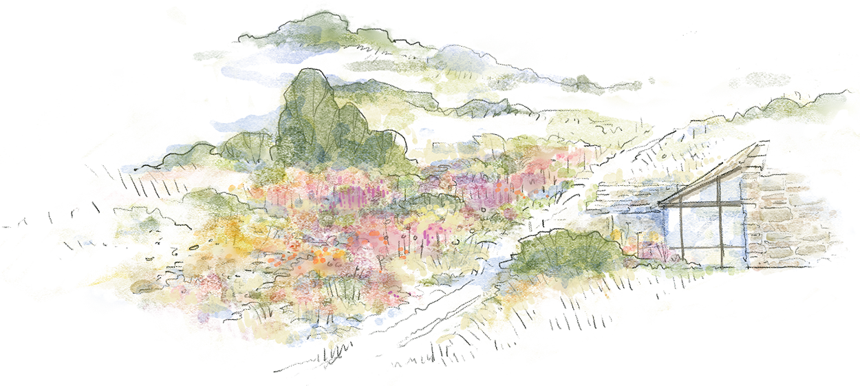 Studio Lilaya atmospheric illustration of garden planting with colourful flowers, trees, and a stone building with a glass window.