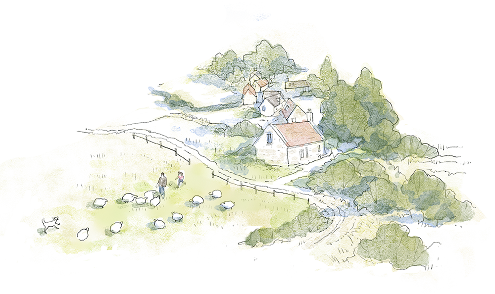 Studio Lilaya architectural illustration of a rural landscape with rural countryside, cultural people and ecology