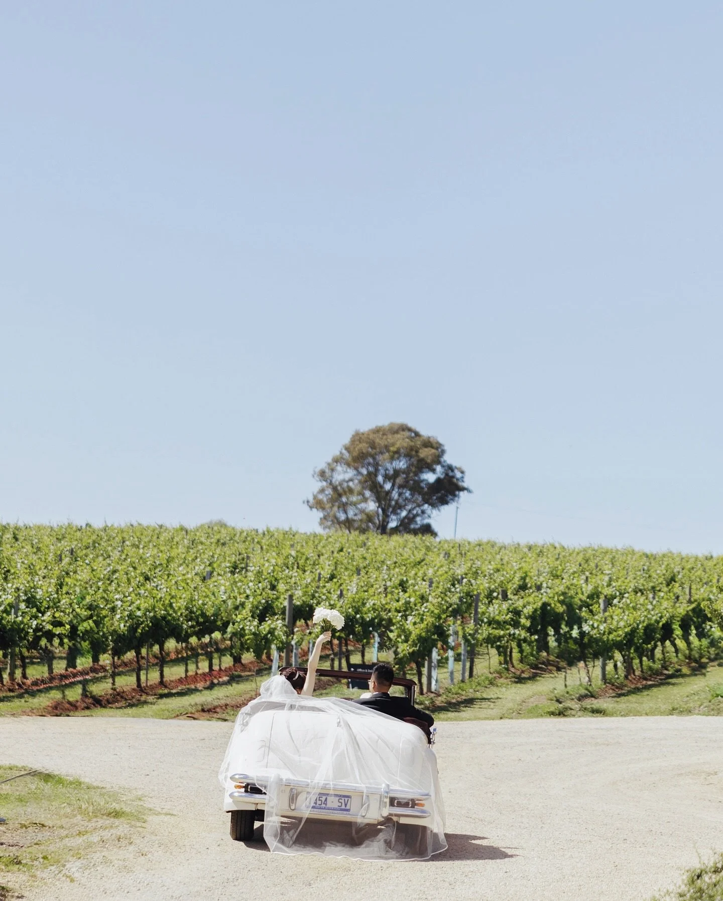 Just married, driving into forever.
Summer days, slow moments, vineyard roads 
.
.
.
Venue |@birdinhandwine 
Dining|@lvn_restaurant
Planner+Florist|@wedocreativestudio 
Car|@classicjagsweddingcarsadelaide
Celebrant|@annawucelebrant 
Photo+Video| @rhf