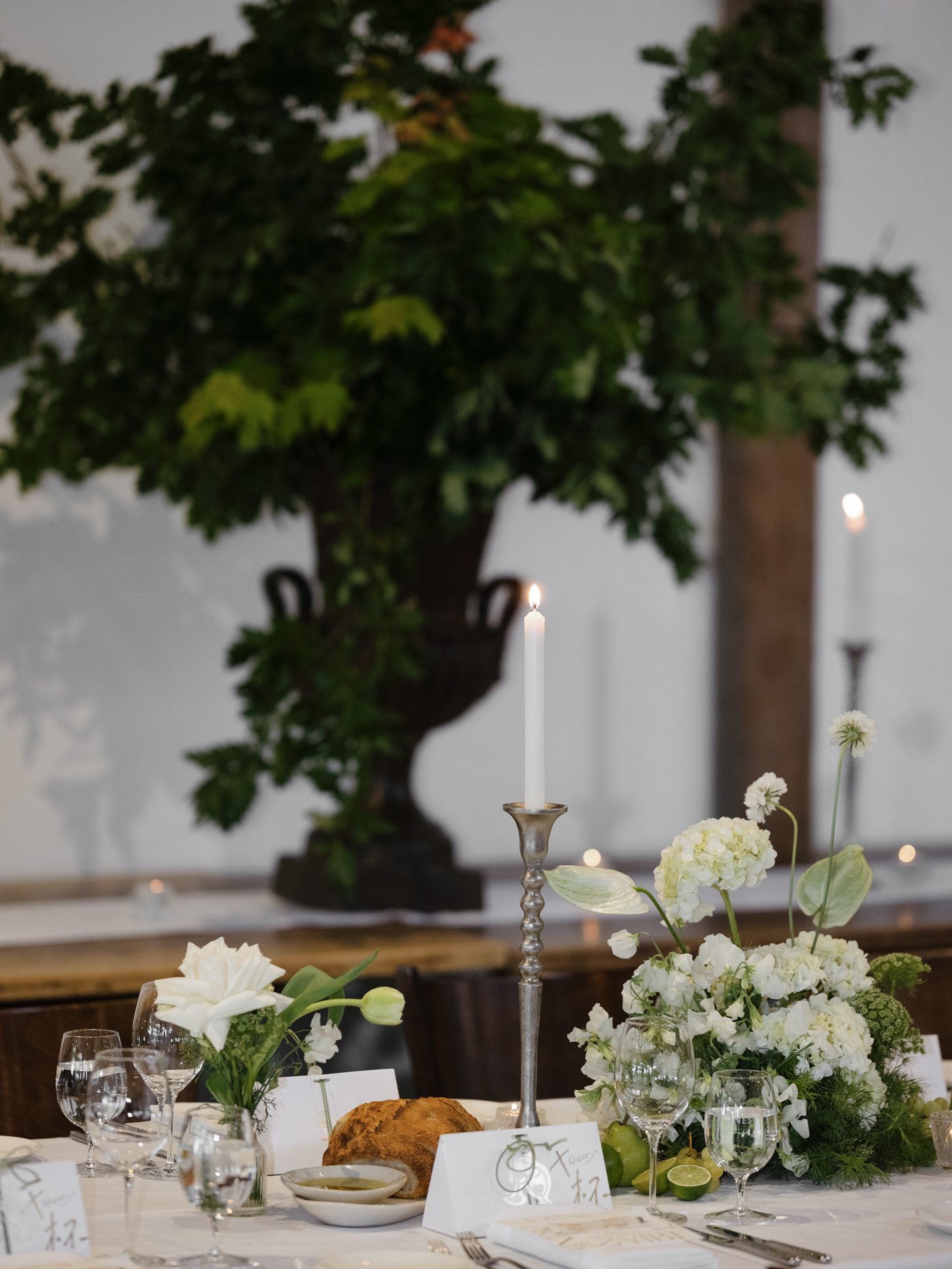 Richard + Cathy-1583.JPG