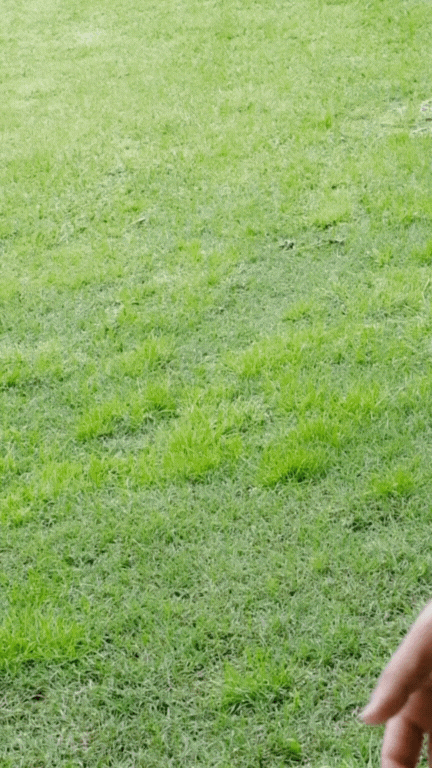 Untitled design (11).gif