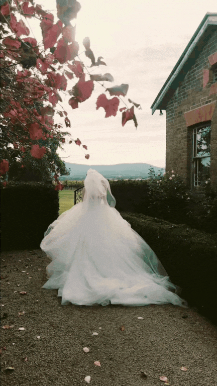 Untitled design (2).gif