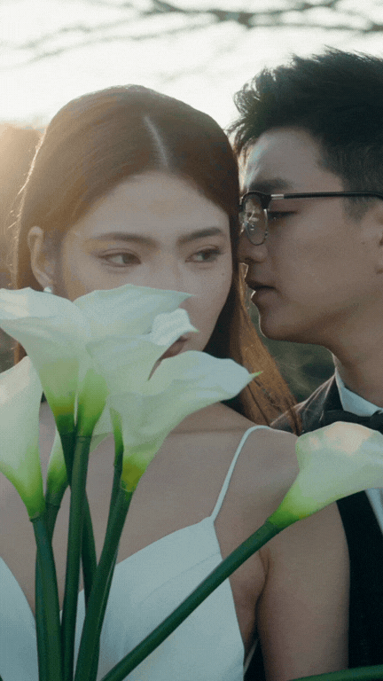 Untitled design (14).gif